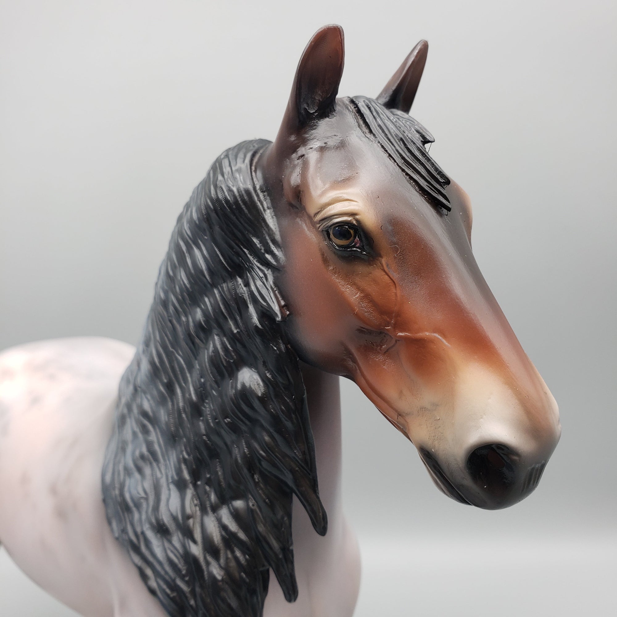 Chaperon OOAK Bay Roan Trotting Drafter By Jess Hamill Best Offers 7/10/23