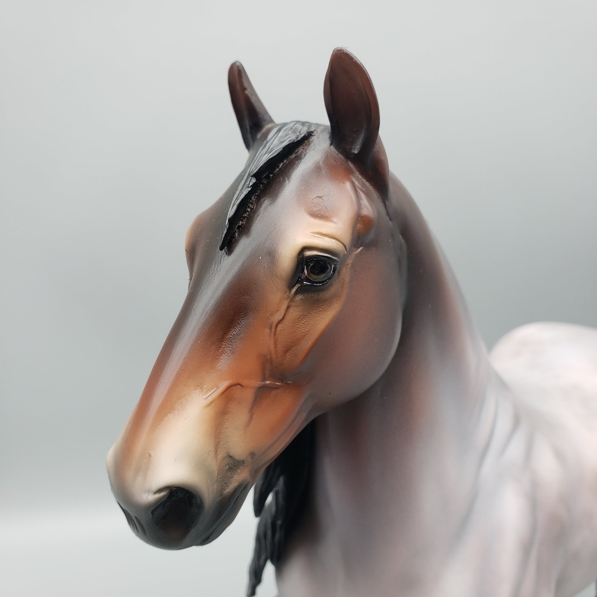 Chaperon OOAK Bay Roan Trotting Drafter By Jess Hamill Best Offers 7/10/23