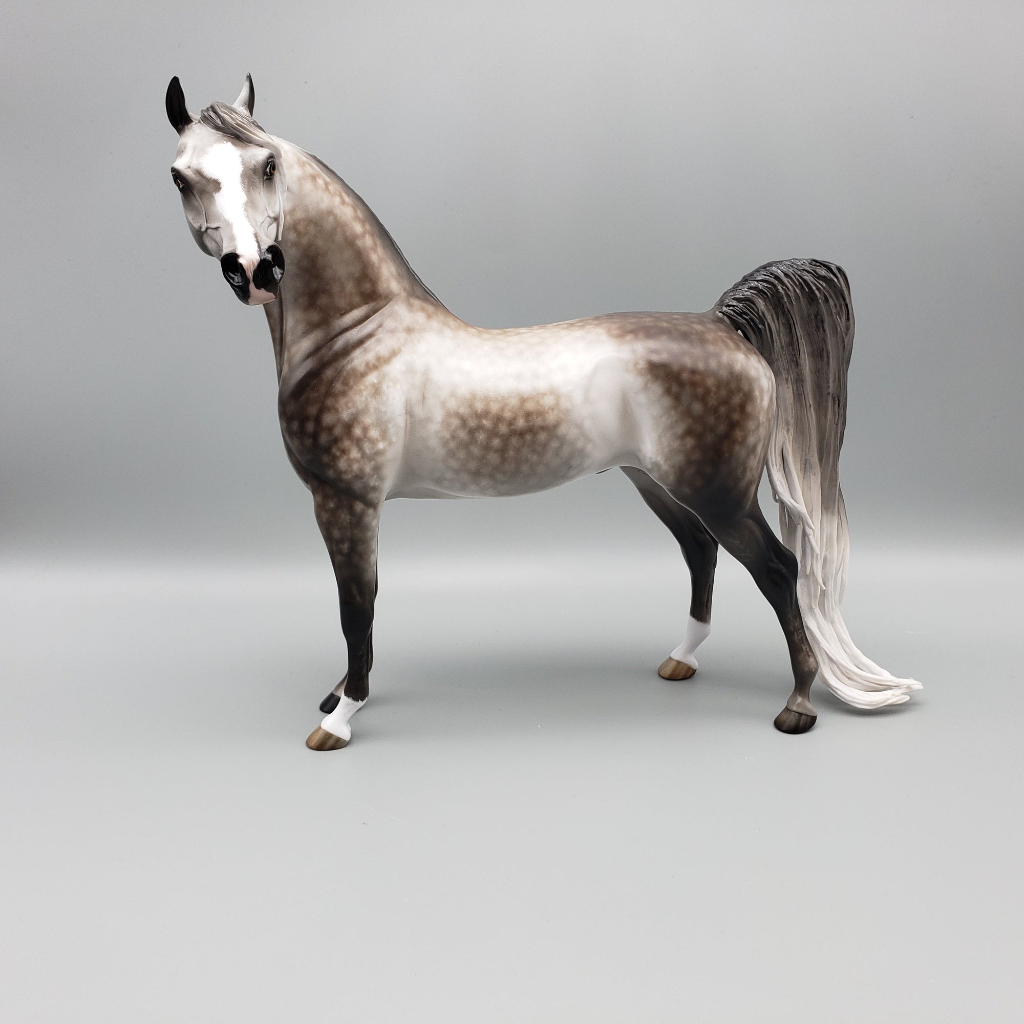 Kunal OOAK Dapple Grey Arabian By Sheryl Leisure Best Offers 7/15/23 EQ23