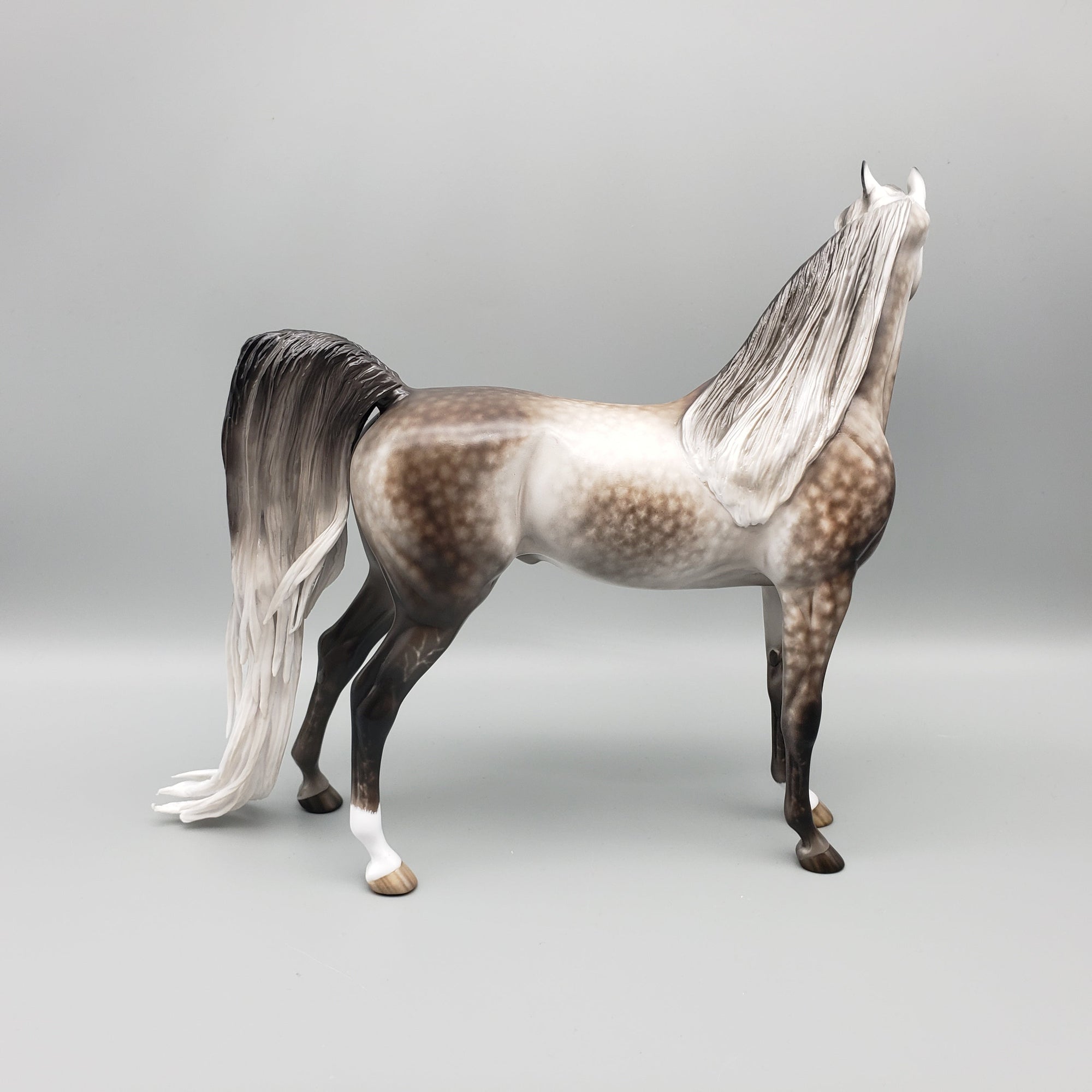 Kunal OOAK Dapple Grey Arabian By Sheryl Leisure Best Offers 7/15/23 EQ23