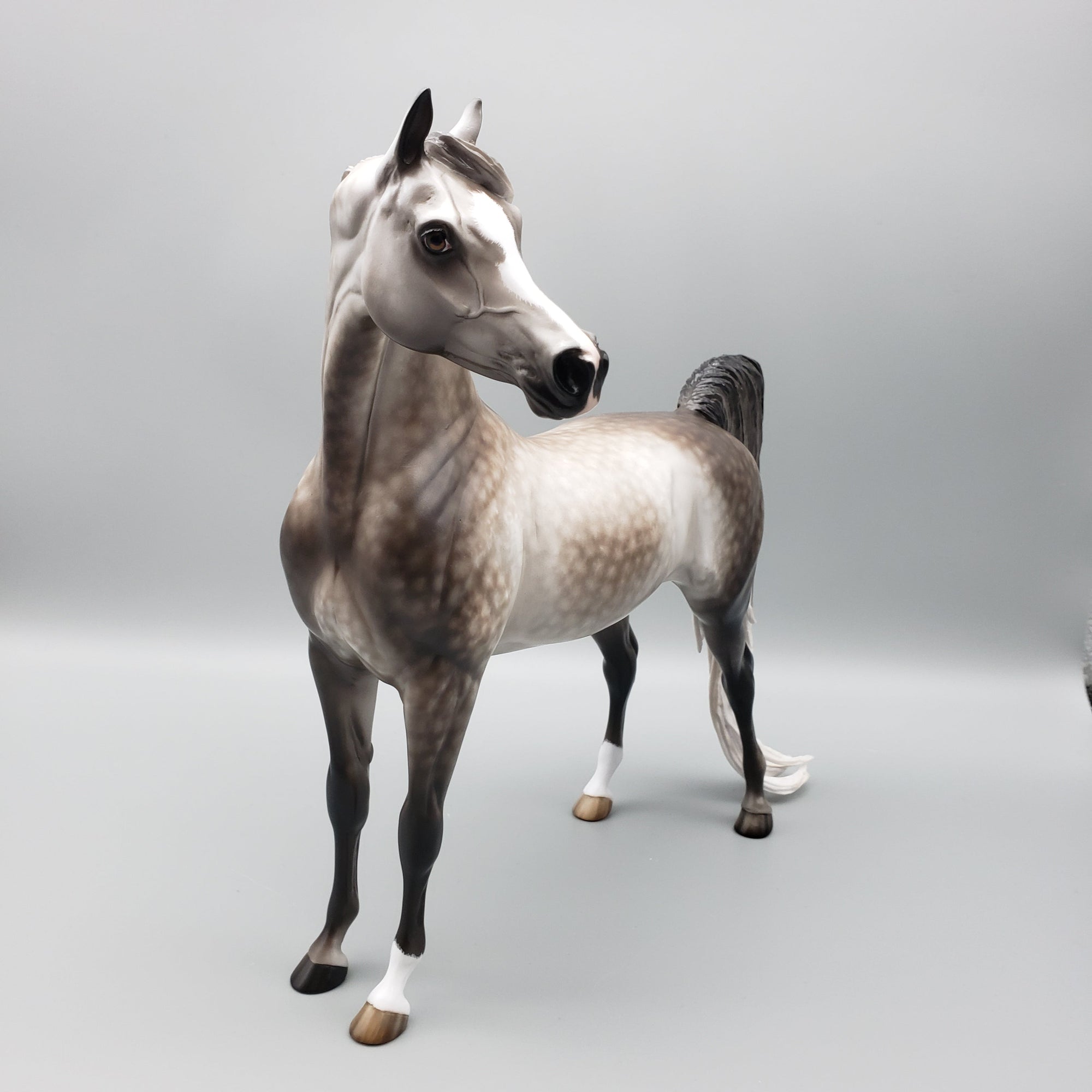 Kunal OOAK Dapple Grey Arabian By Sheryl Leisure Best Offers 7/15/23 EQ23