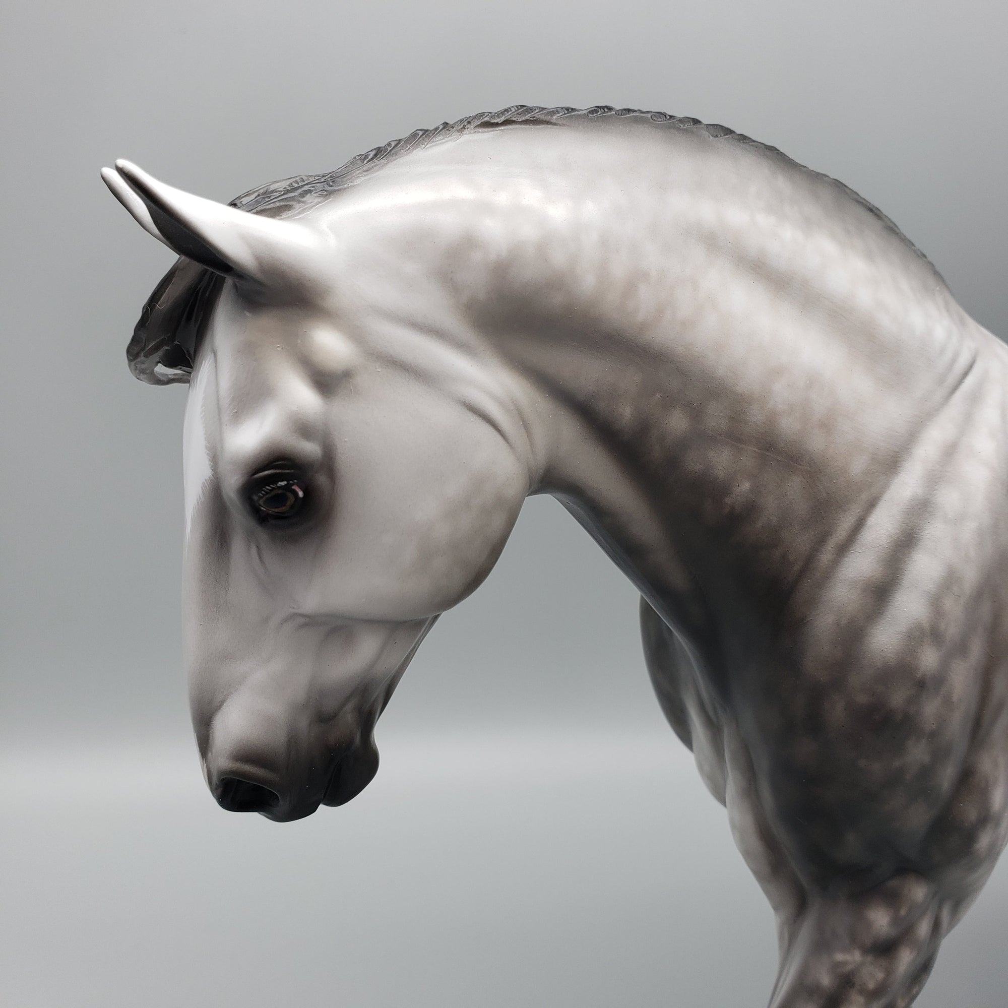 Campion OOAK Dapple Grey Irish Draught By Sheryl Leisure Best Offers 7/15/23 eq23