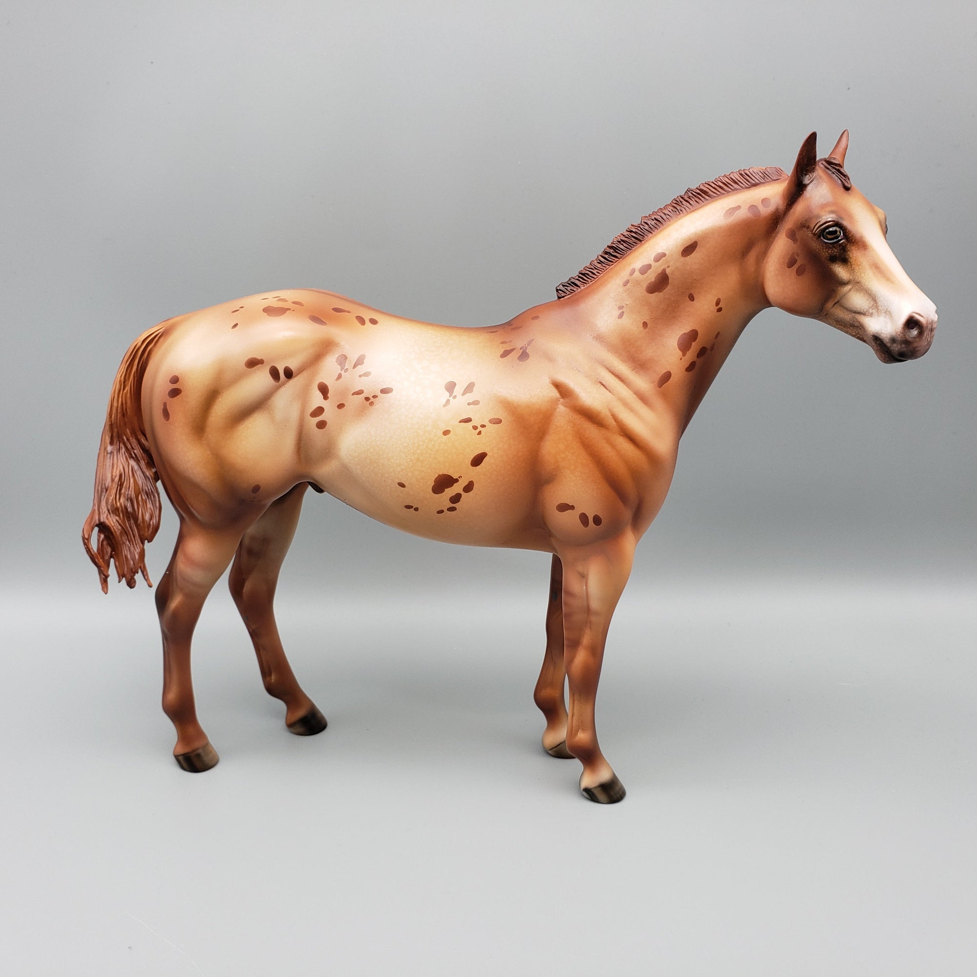 Ember OOAK Red Dun Appy Ideal Stock Horse By Julie Keim Equilocity Best Offers 7/15/23 EQ23