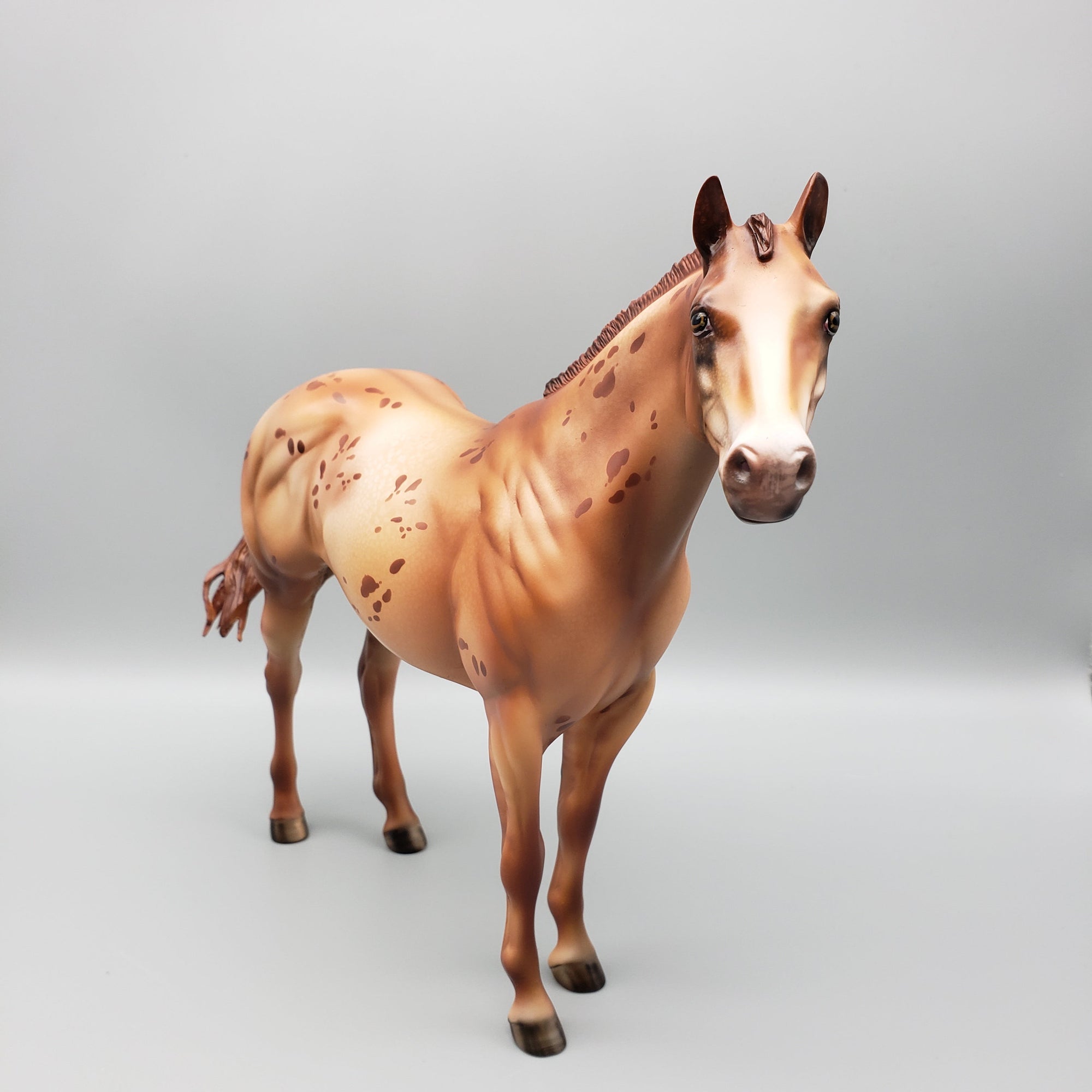 Ember OOAK Red Dun Appy Ideal Stock Horse By Julie Keim Equilocity Best Offers 7/15/23 EQ23