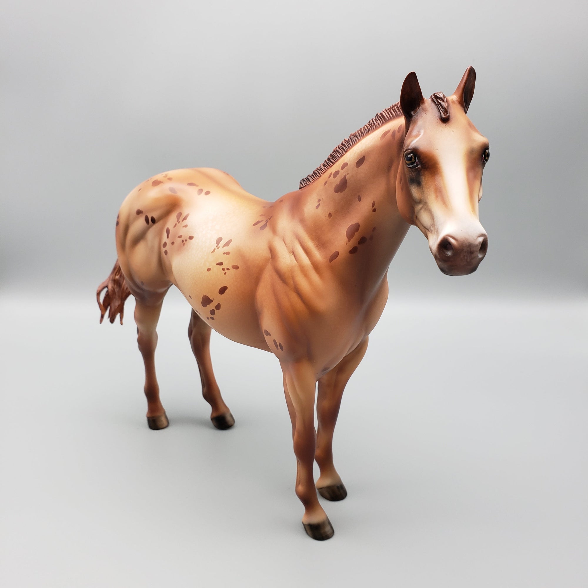 Ember OOAK Red Dun Appy Ideal Stock Horse By Julie Keim Equilocity Best Offers 7/15/23 EQ23