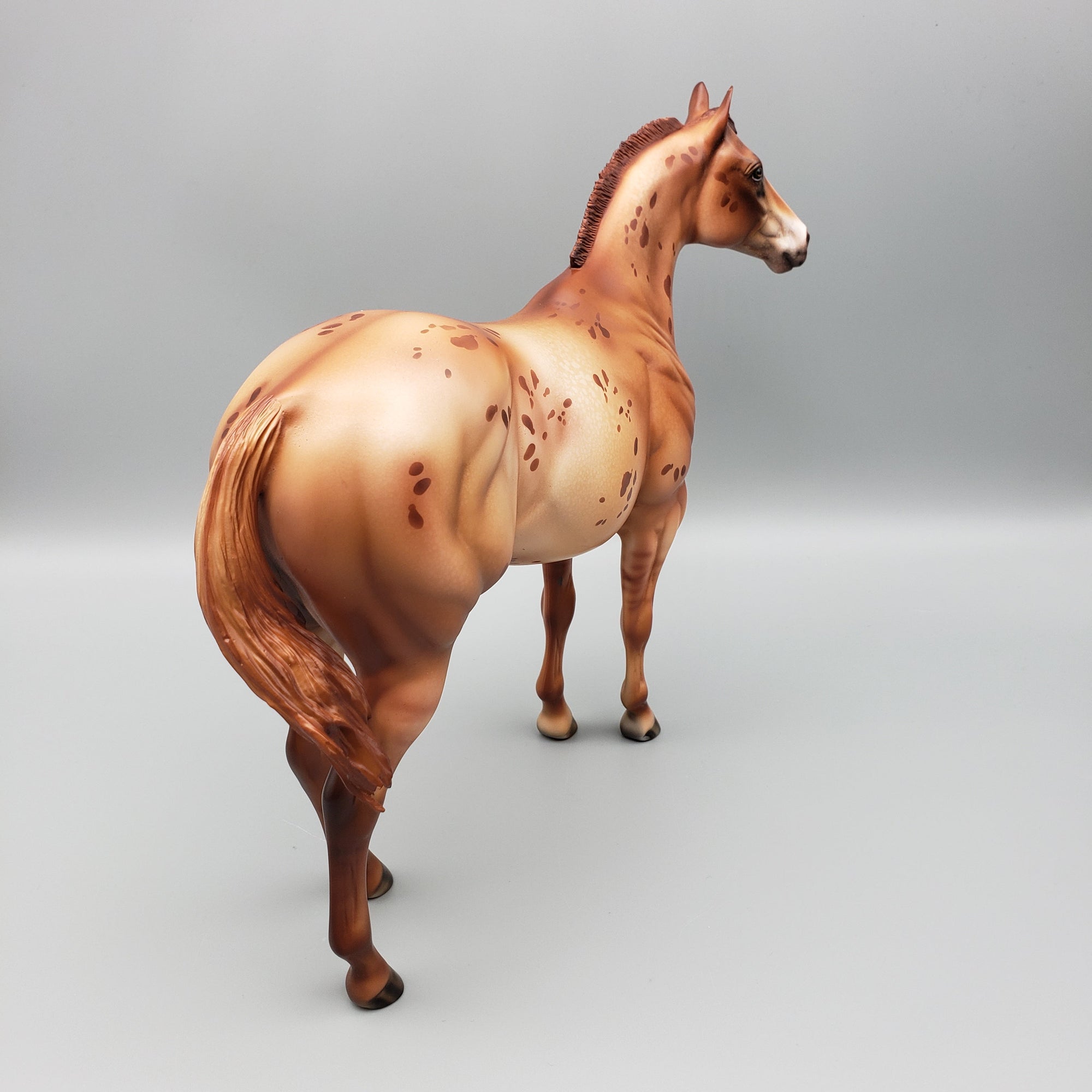 Ember OOAK Red Dun Appy Ideal Stock Horse By Julie Keim Equilocity Best Offers 7/15/23 EQ23