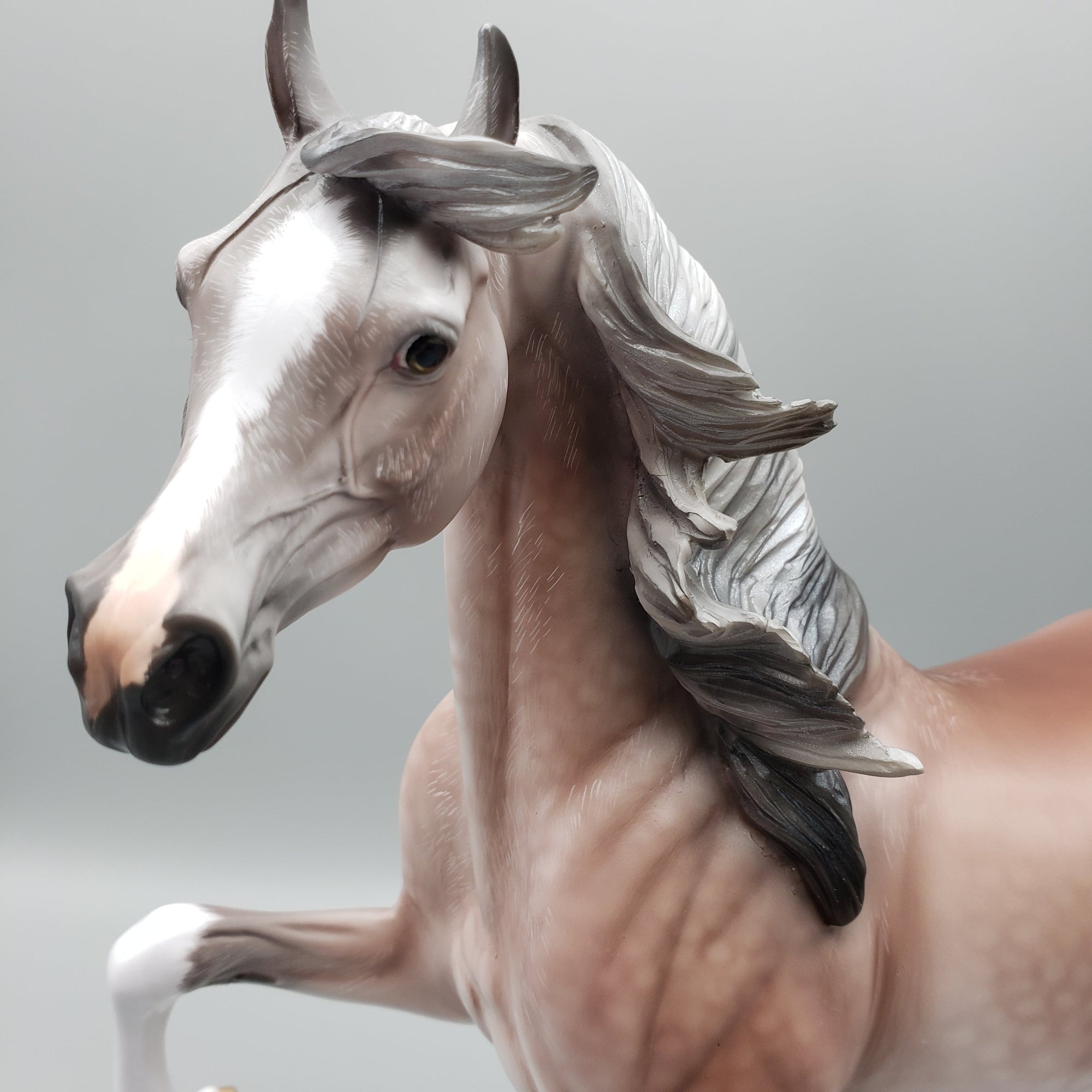 Dynasty OOAK Dappled Rose Grey Arab Stallion By Angela Marleau Equilocity Best Offers 7/15/23 EQ23