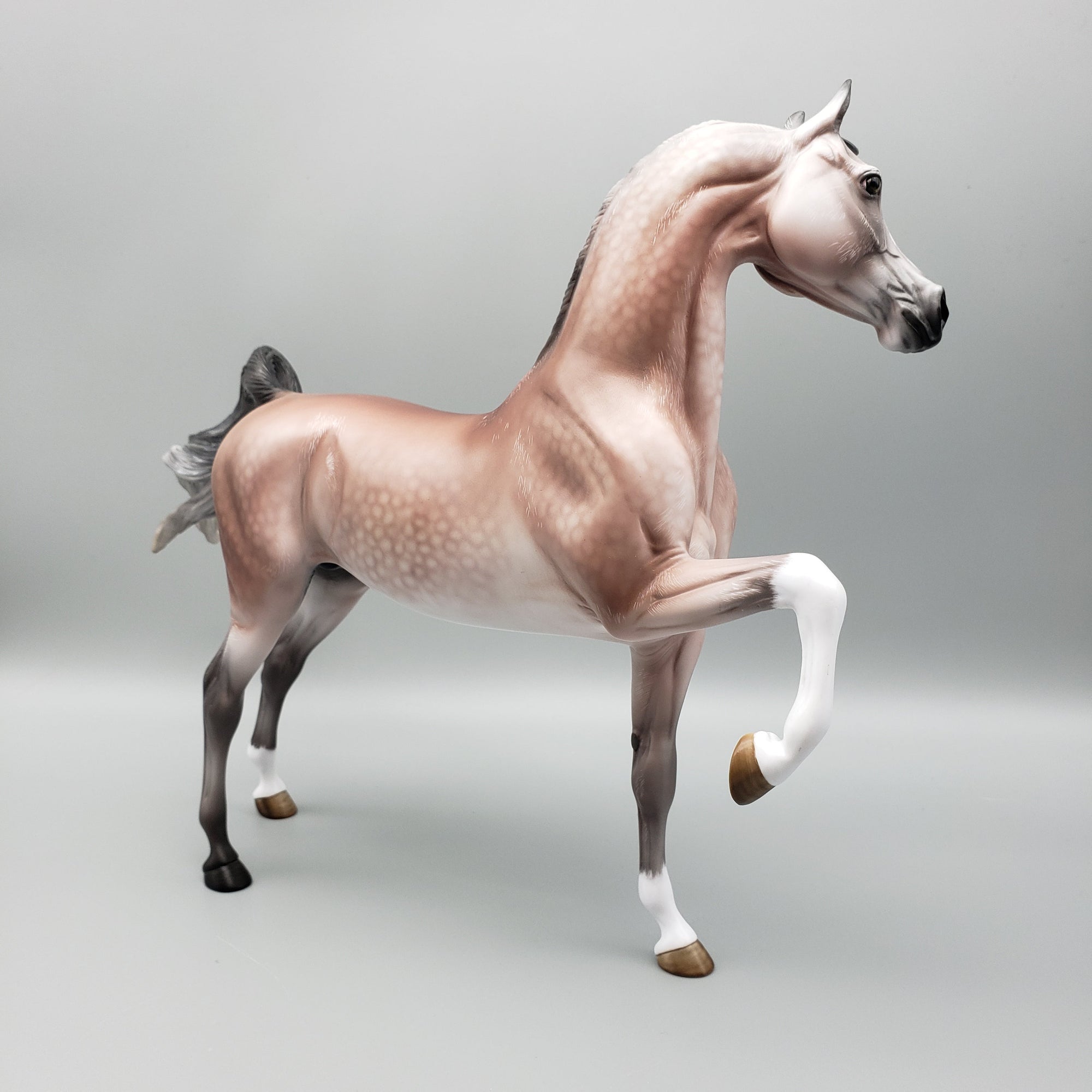 Dynasty OOAK Dappled Rose Grey Arab Stallion By Angela Marleau Equilocity Best Offers 7/15/23 EQ23