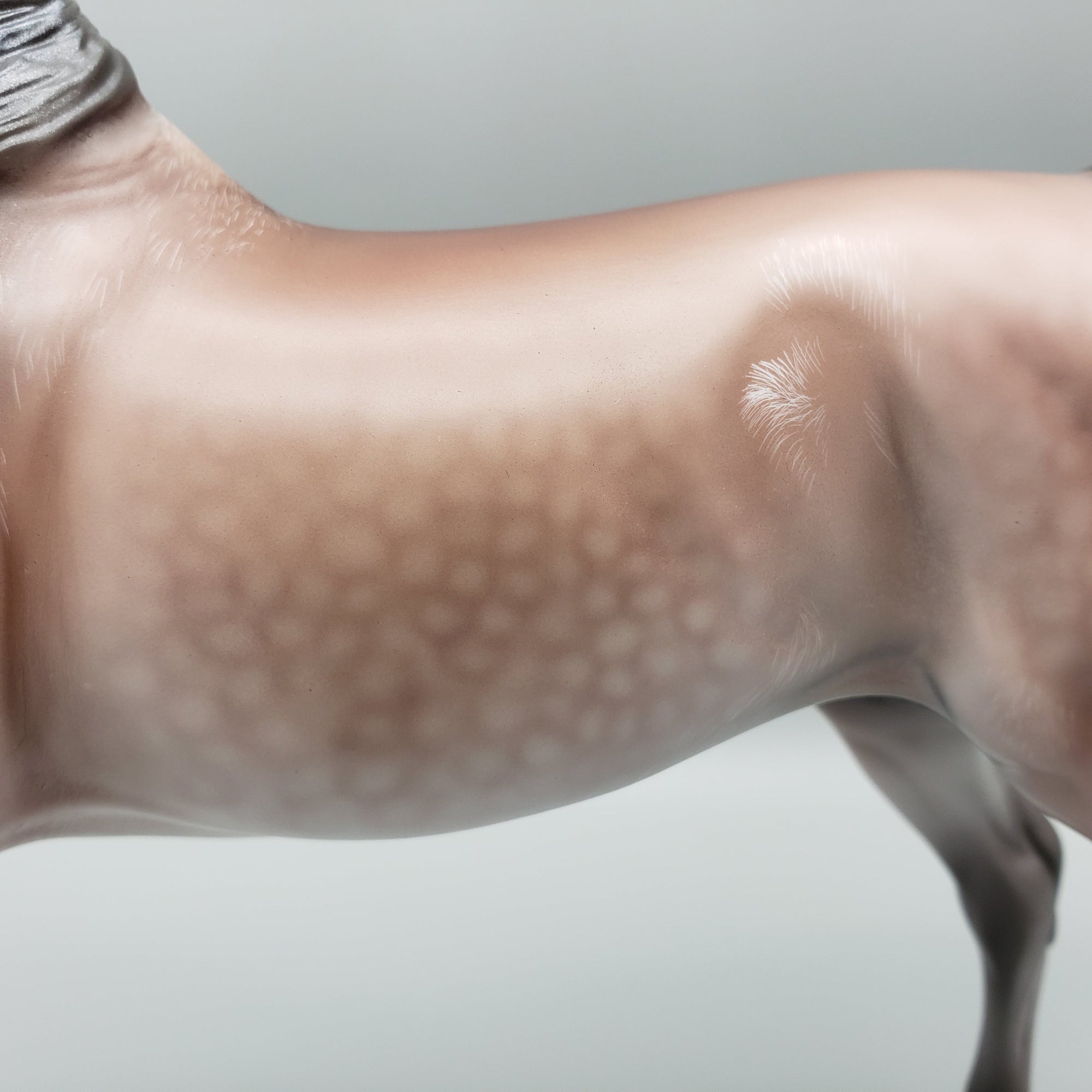 Dynasty OOAK Dappled Rose Grey Arab Stallion By Angela Marleau Equilocity Best Offers 7/15/23 EQ23