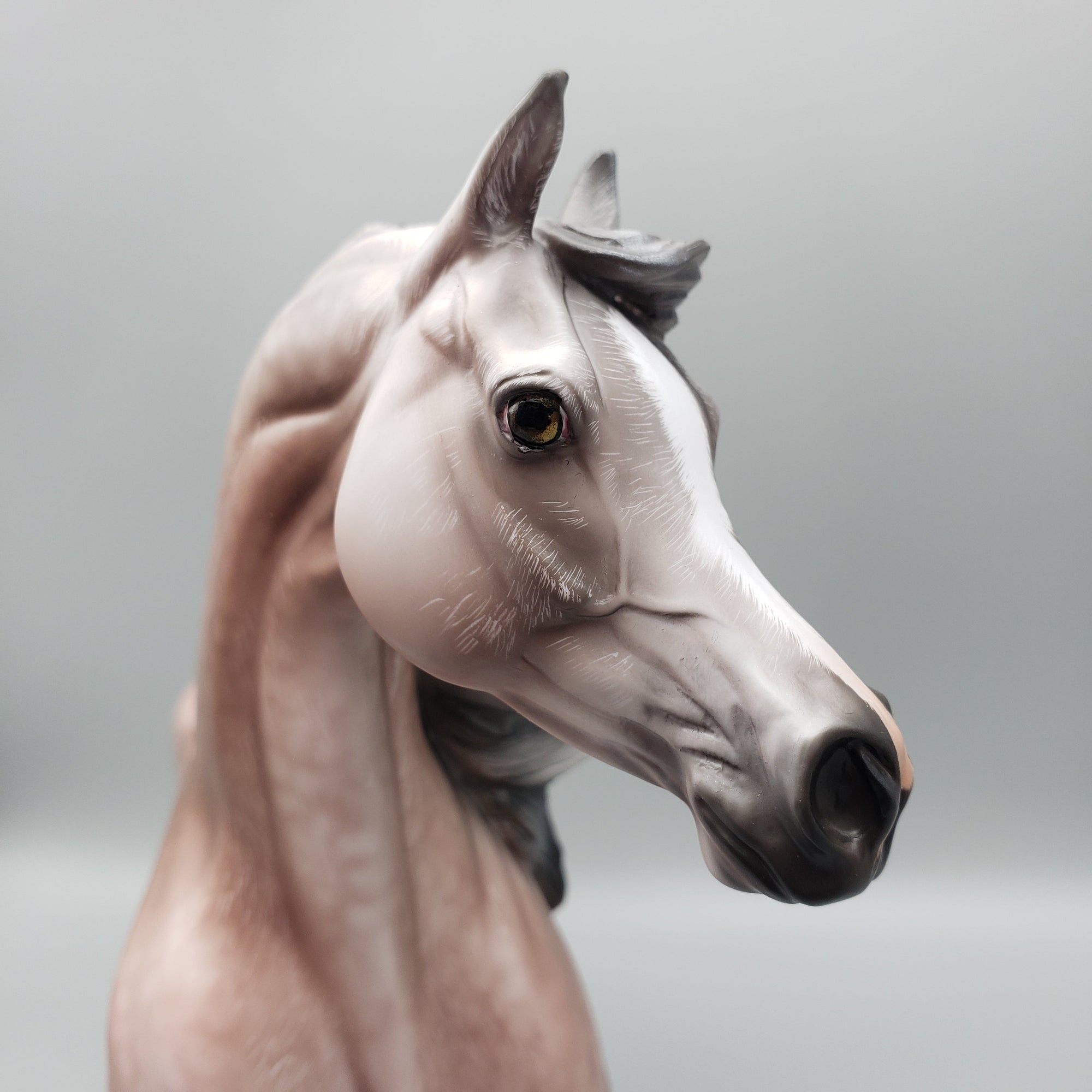 Dynasty OOAK Dappled Rose Grey Arab Stallion By Angela Marleau Equilocity Best Offers 7/15/23 EQ23