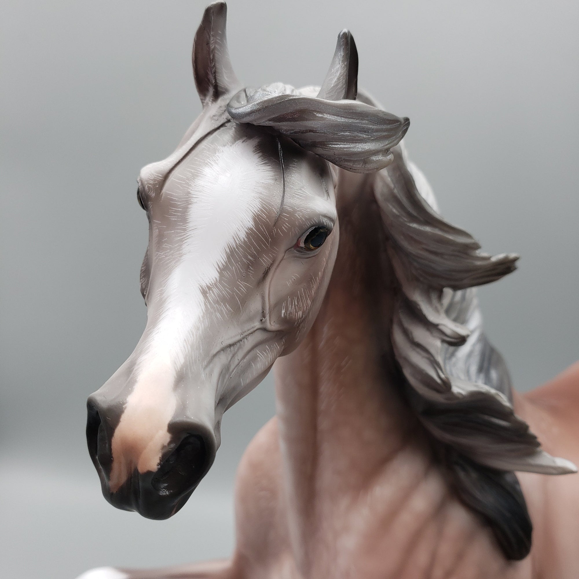 Dynasty OOAK Dappled Rose Grey Arab Stallion By Angela Marleau Equilocity Best Offers 7/15/23 EQ23