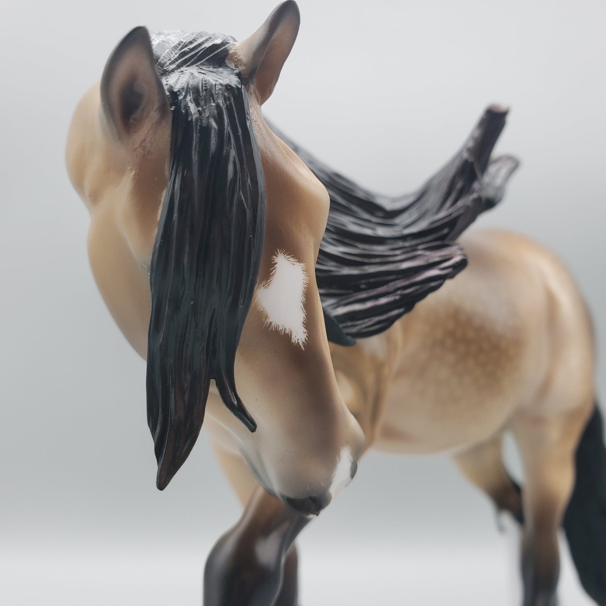 Arcturus OOAK Dappled Sooty Buckskin Cob By Ellen Robbins Equilocity Best Offers 7/15/23 EQ23