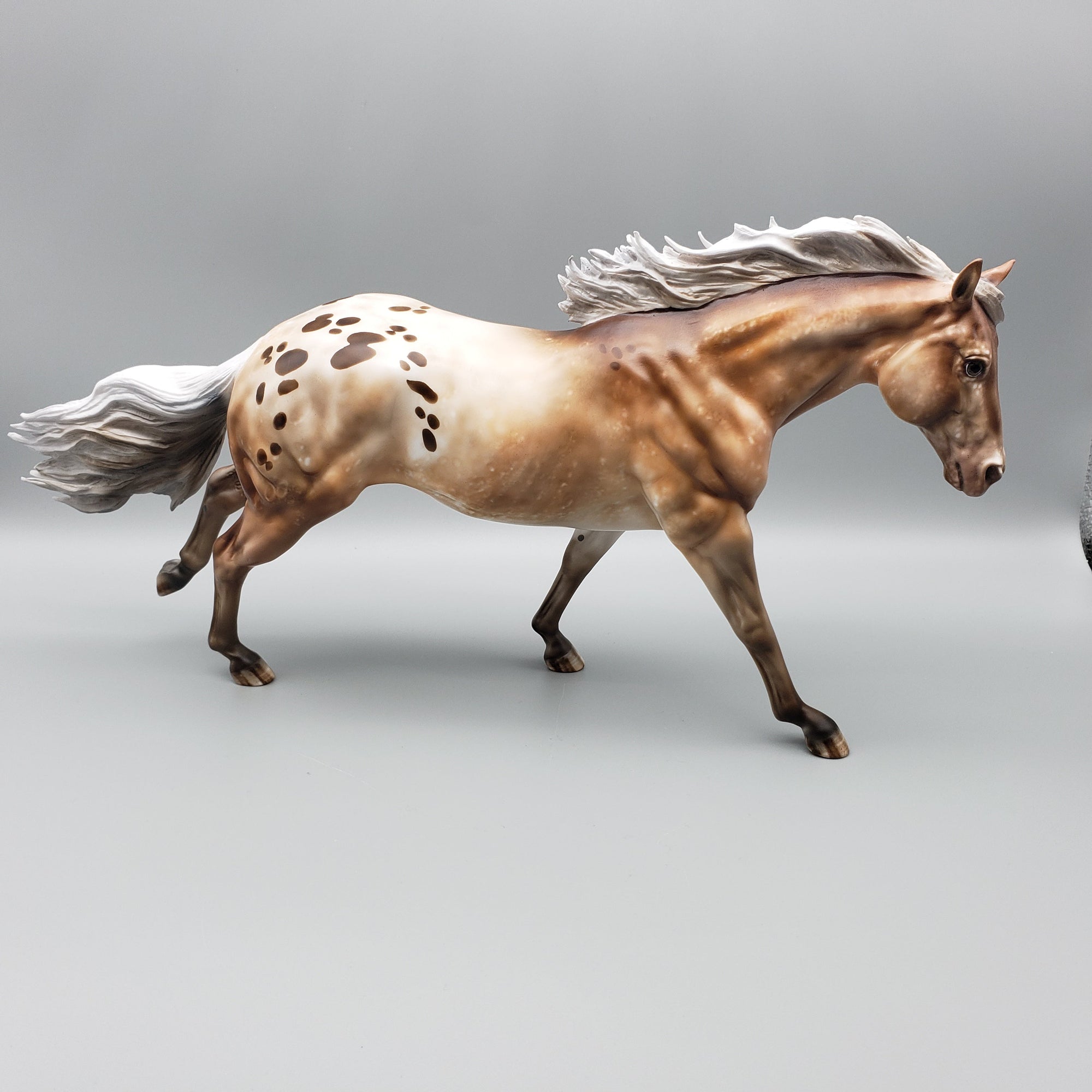 Approaching the Storm Basket 3 Equilocity 2023 Palomino Appaloosa Remington and Weanling by Julie KeimEQ23