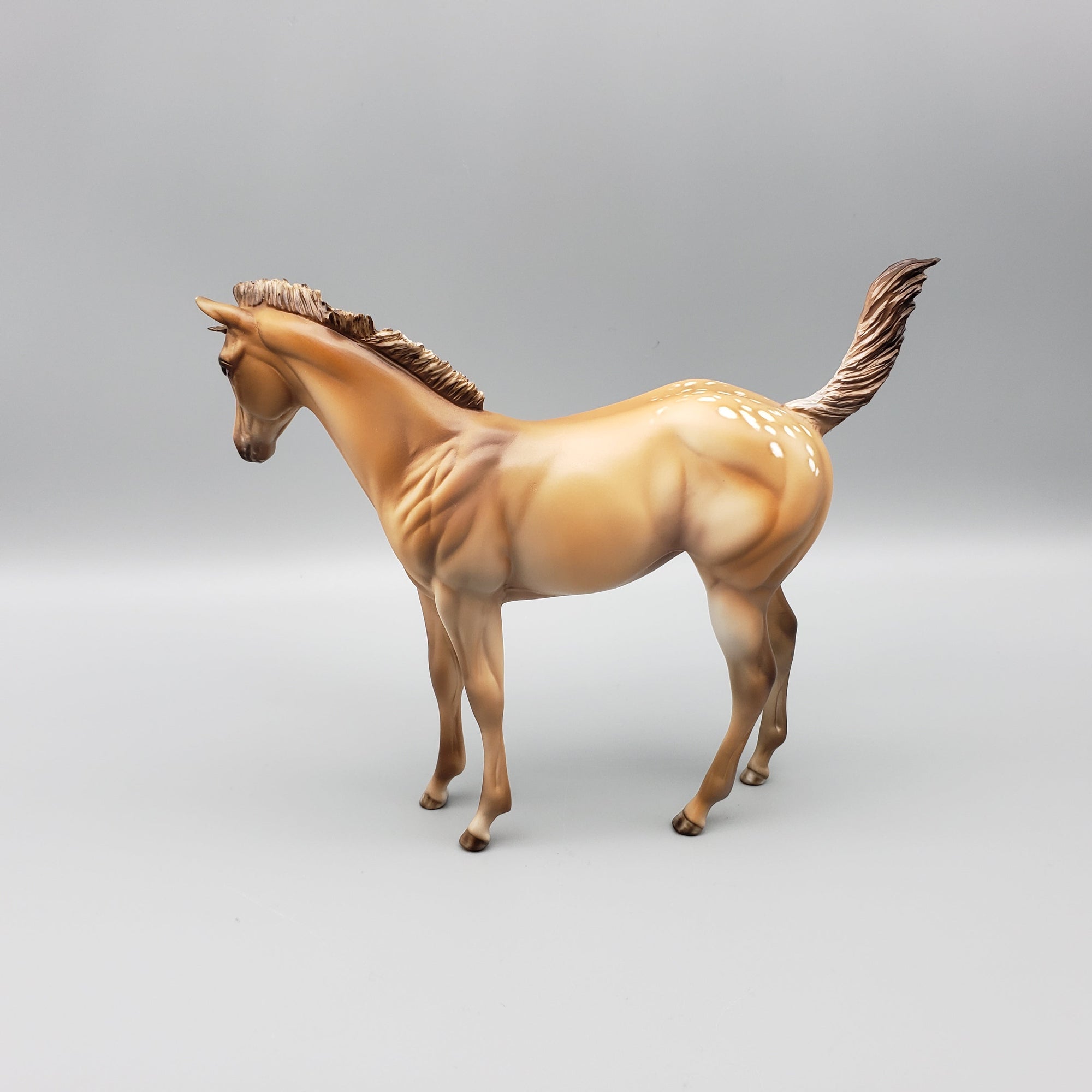 Approaching the Storm Basket 3 Equilocity 2023 Palomino Appaloosa Remington and Weanling by Julie KeimEQ23