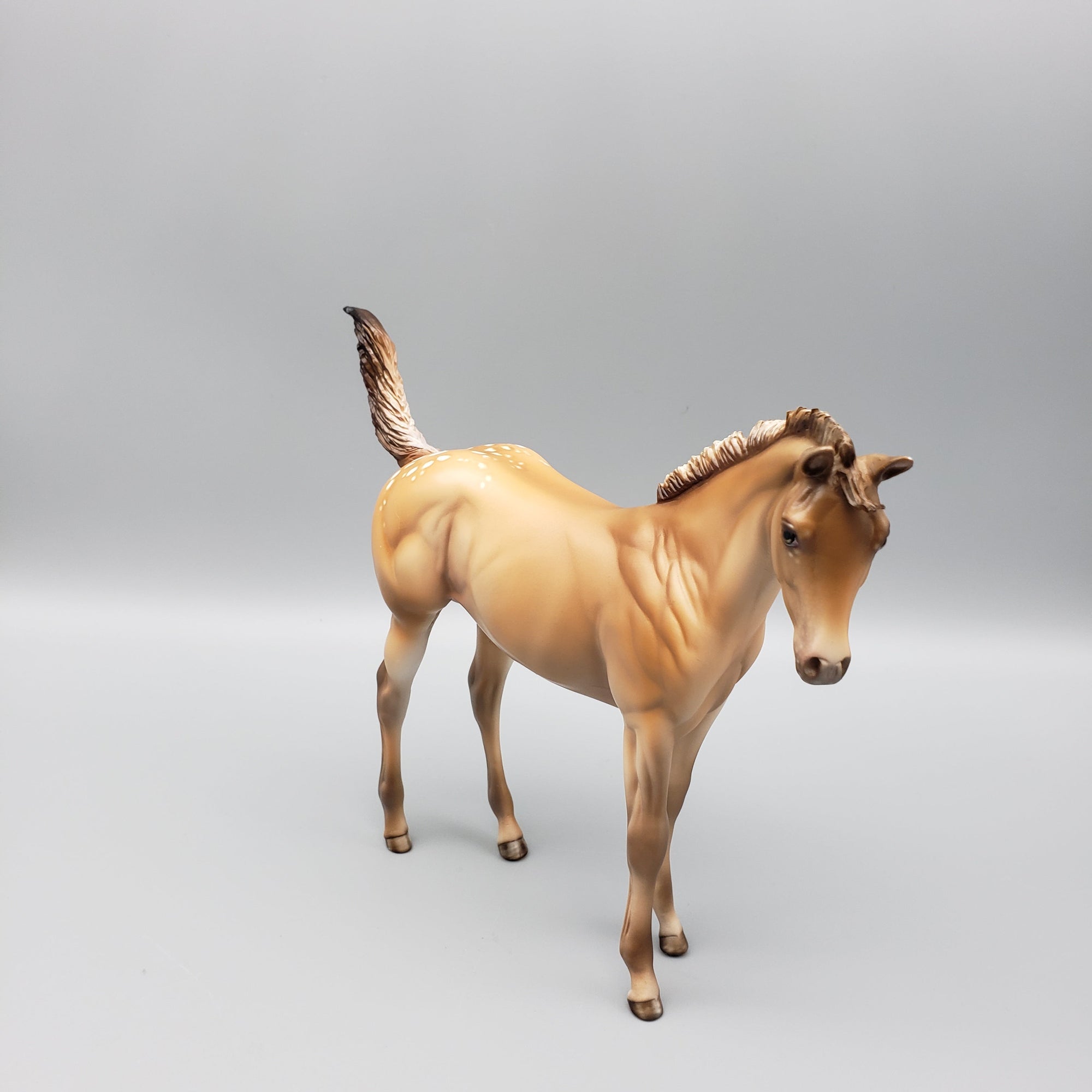 Approaching the Storm Basket 3 Equilocity 2023 Palomino Appaloosa Remington and Weanling by Julie KeimEQ23