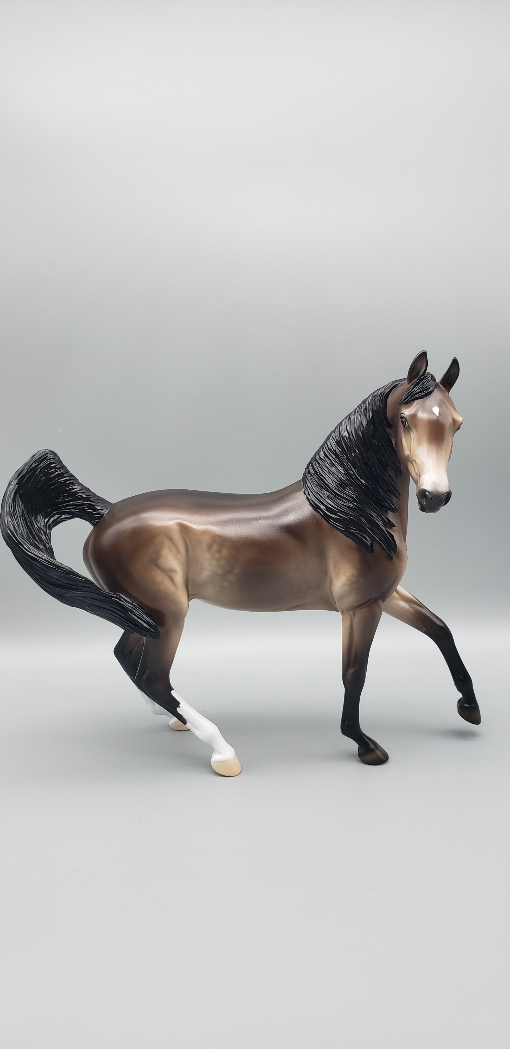 Kola Customized Sooty Buckskin Arab Mare By Ellen Robbins AoTH23