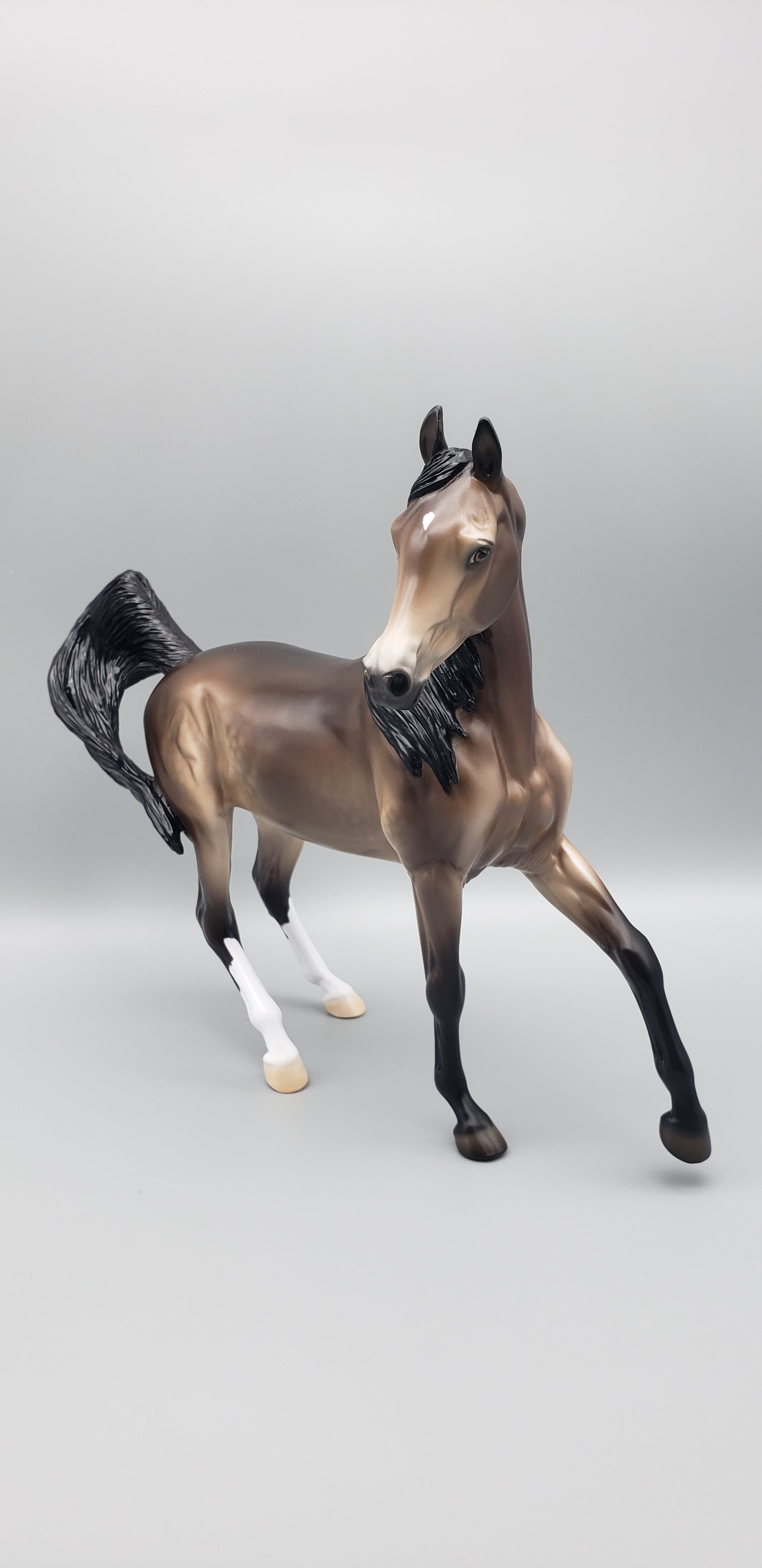 Kola Customized Sooty Buckskin Arab Mare By Ellen Robbins AoTH23