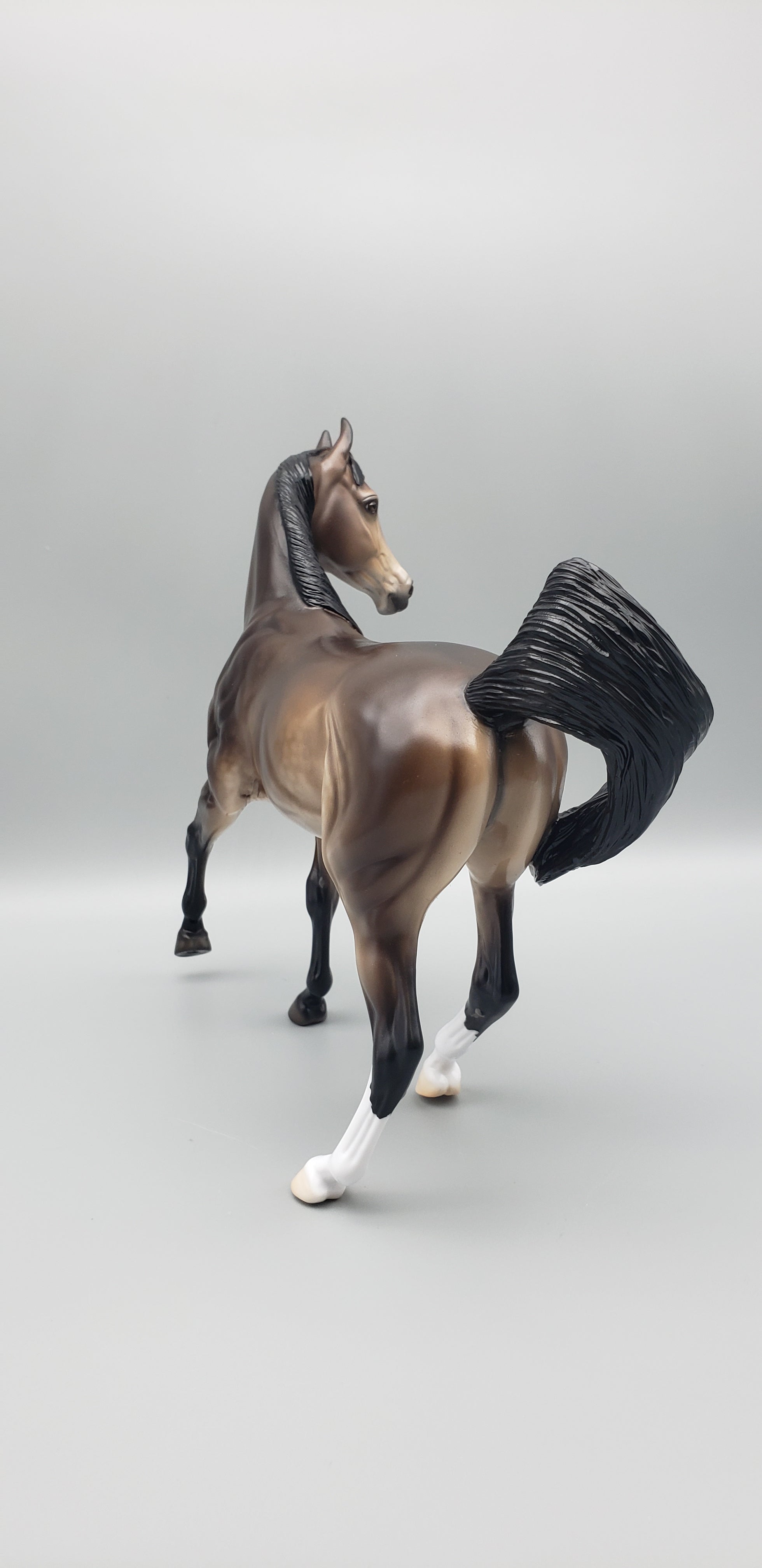 Kola Customized Sooty Buckskin Arab Mare By Ellen Robbins AoTH23