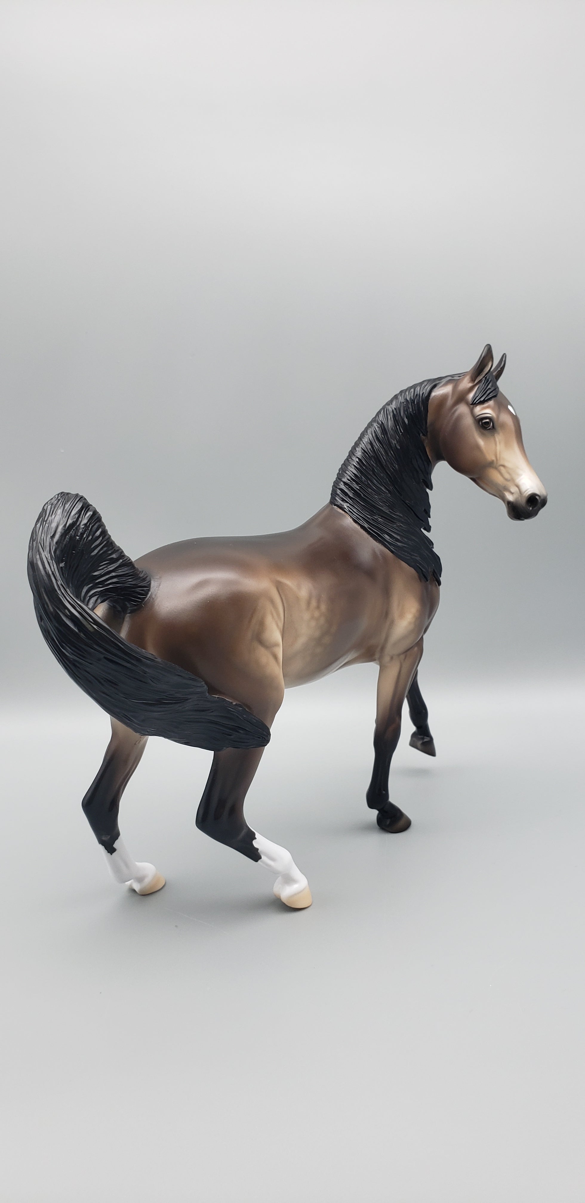 Kola Customized Sooty Buckskin Arab Mare By Ellen Robbins AoTH23