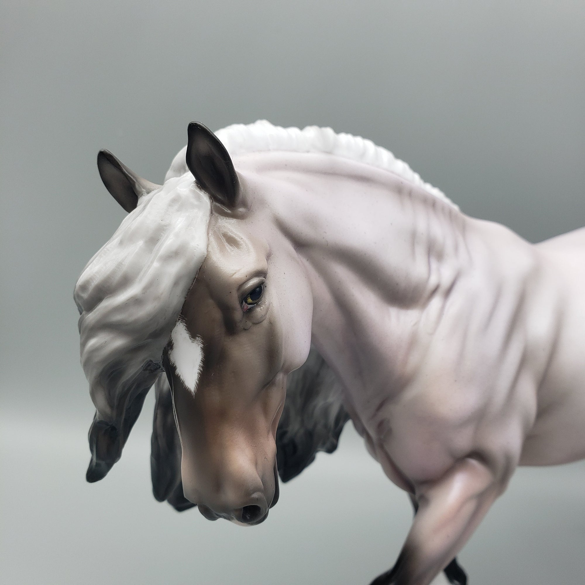 Desert Rose - Basket #1 Equilocity 2023 - OOAK Dapple Grey Lavender Shaded Cob By Ellen Robbins EQ23