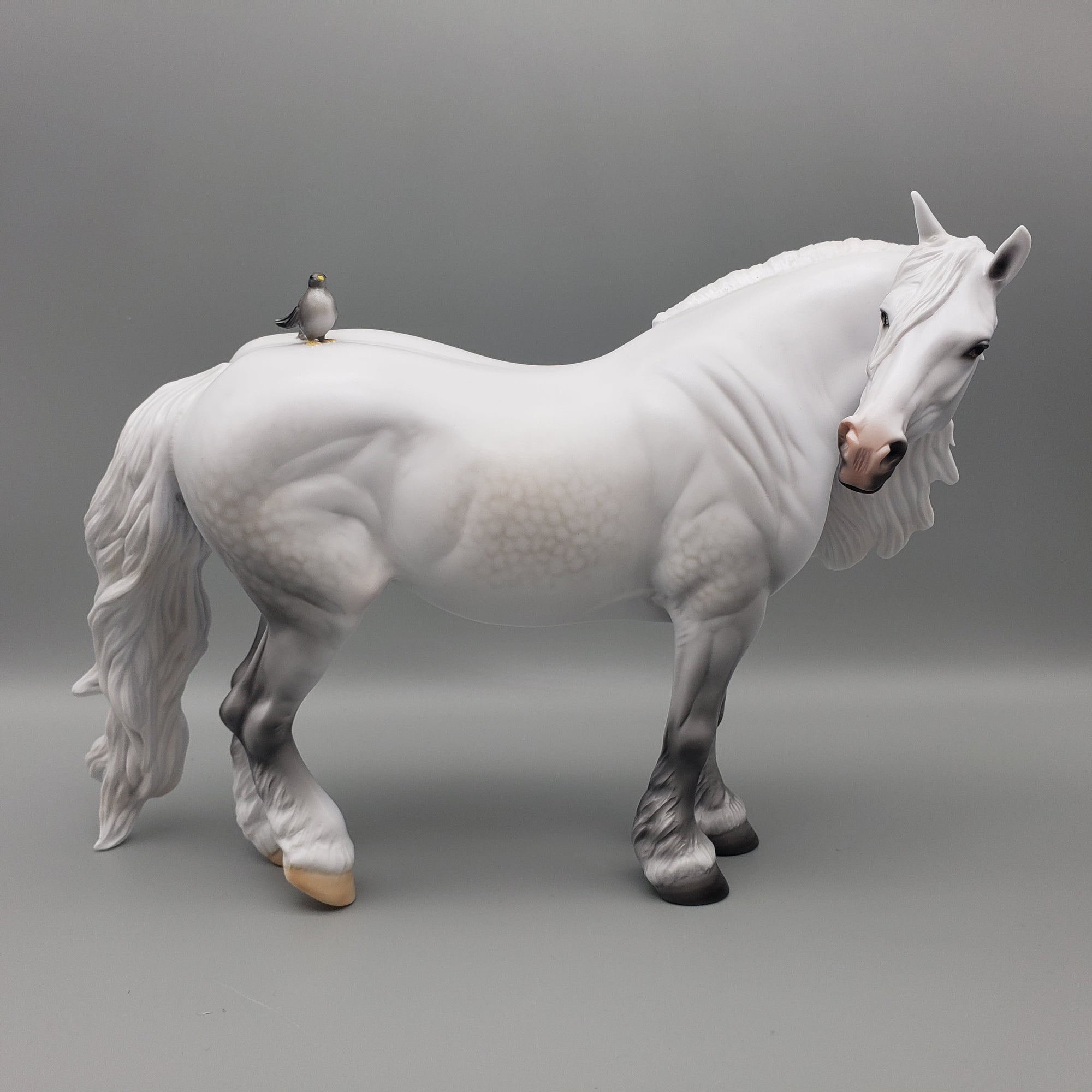 Dove OOAK Dapple Grey Heavy Draft By Carrie Keller Equilocity Best Offers 7/15/23 EQ23