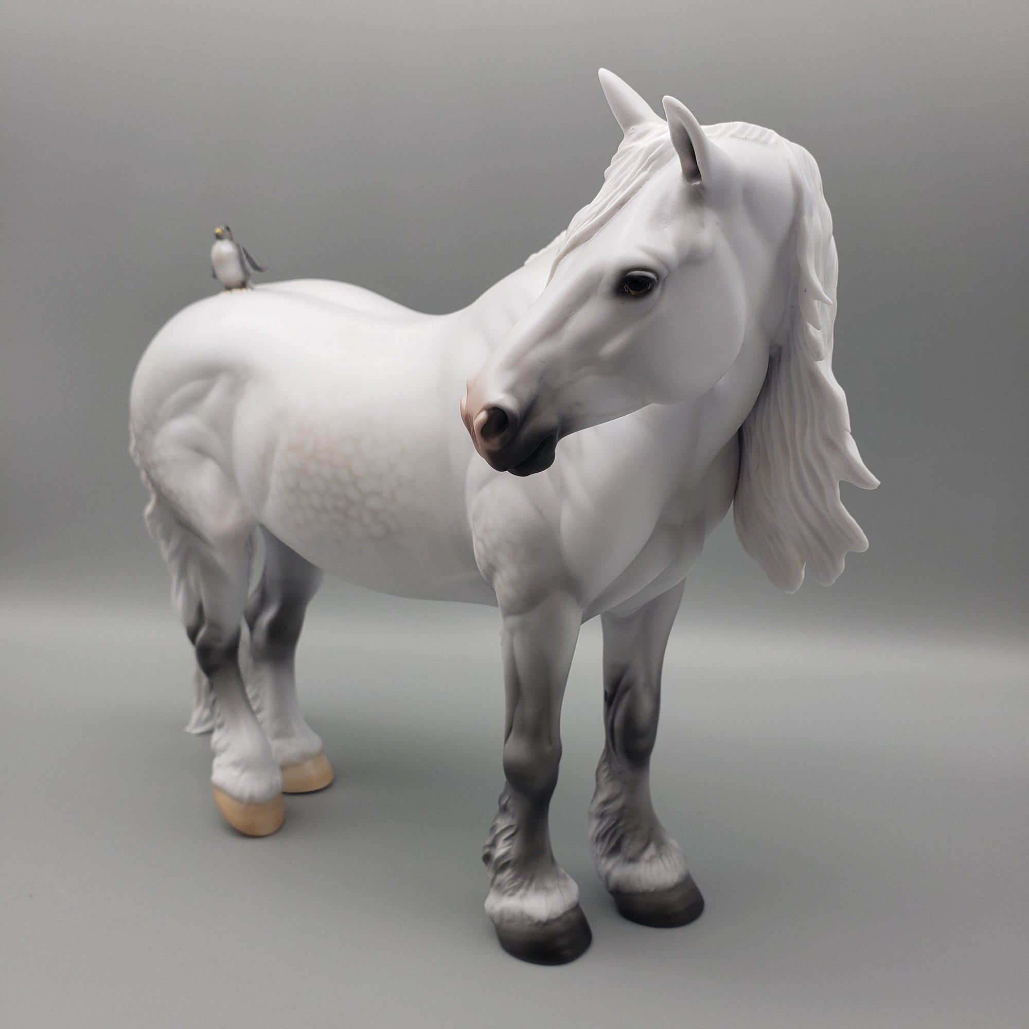 Dove OOAK Dapple Grey Heavy Draft By Carrie Keller Equilocity Best Offers 7/15/23 EQ23