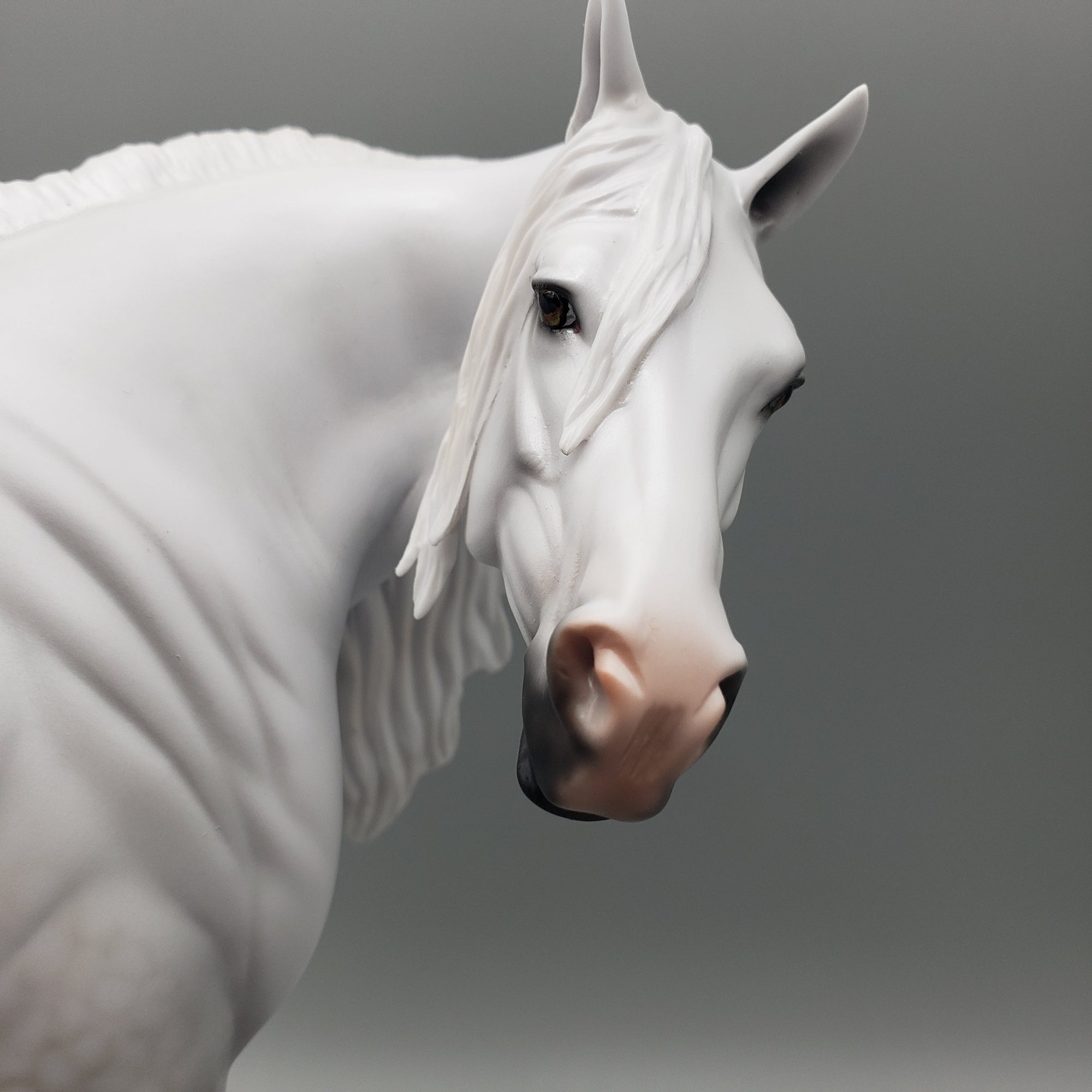 Dove OOAK Dapple Grey Heavy Draft By Carrie Keller Equilocity Best Offers 7/15/23 EQ23