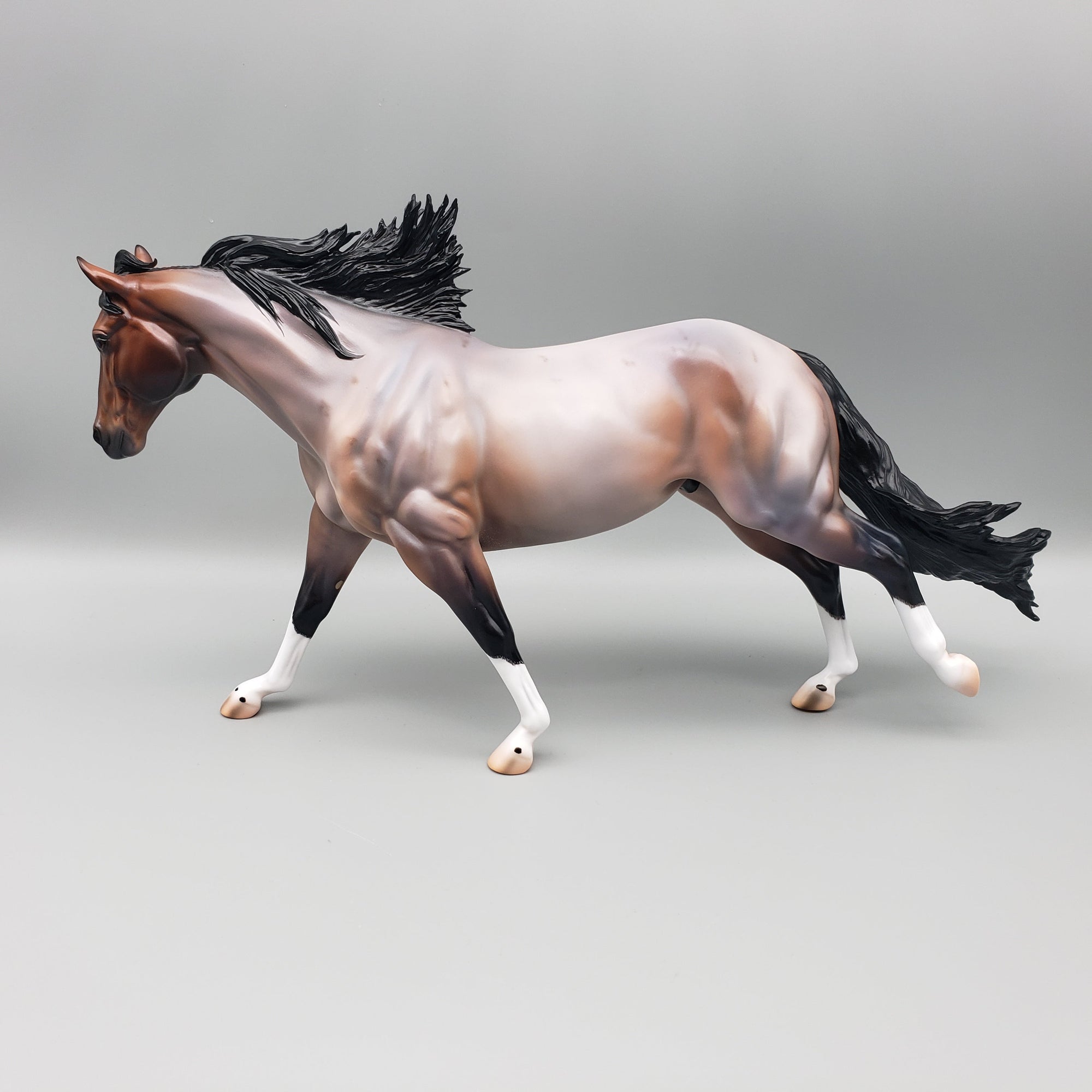 Cardon OOAK Bay Roan Running Stock Horse with Corn Spots By Caroline Boydston Best Offers 7/24/23