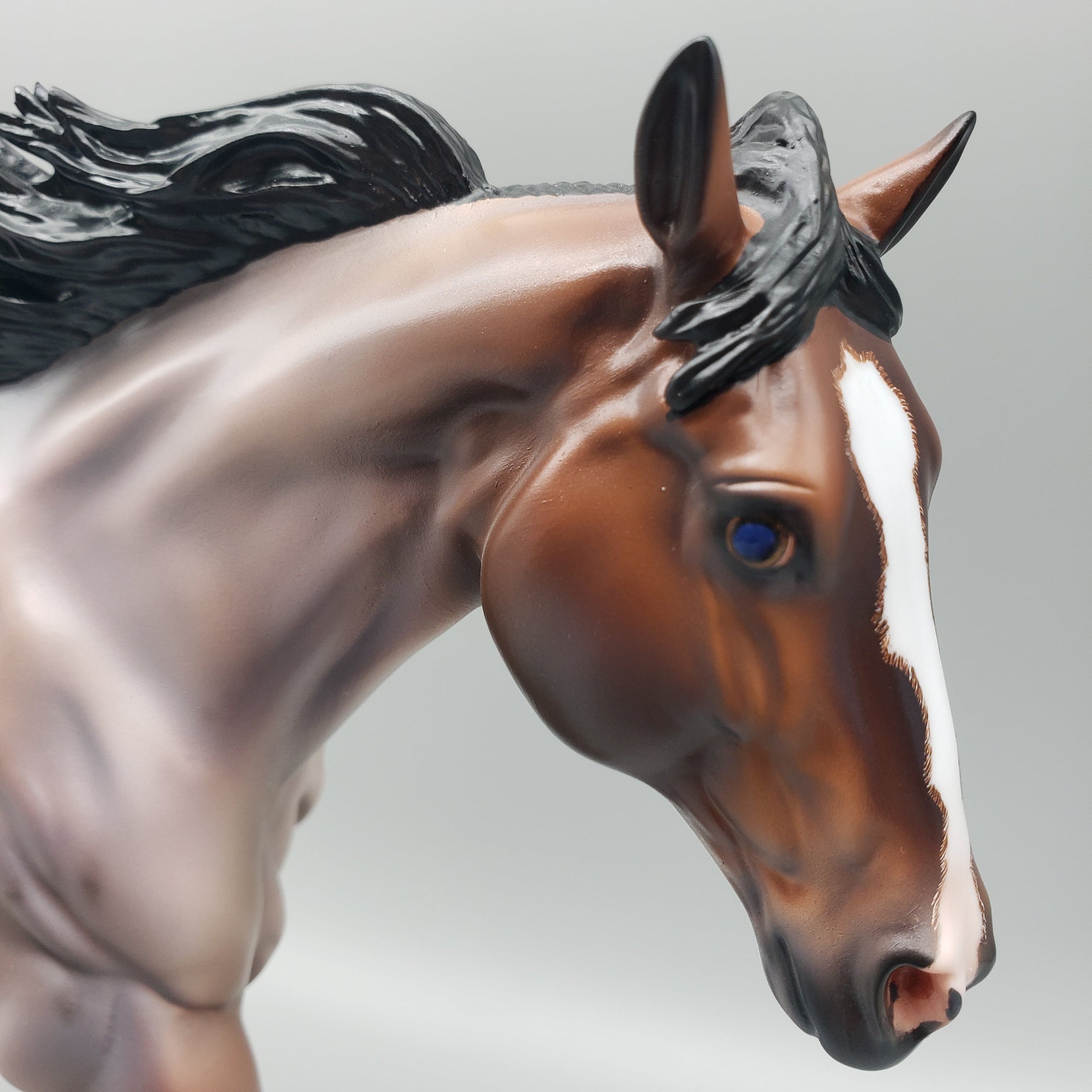 Cardon OOAK Bay Roan Running Stock Horse with Corn Spots By Caroline Boydston Best Offers 7/24/23