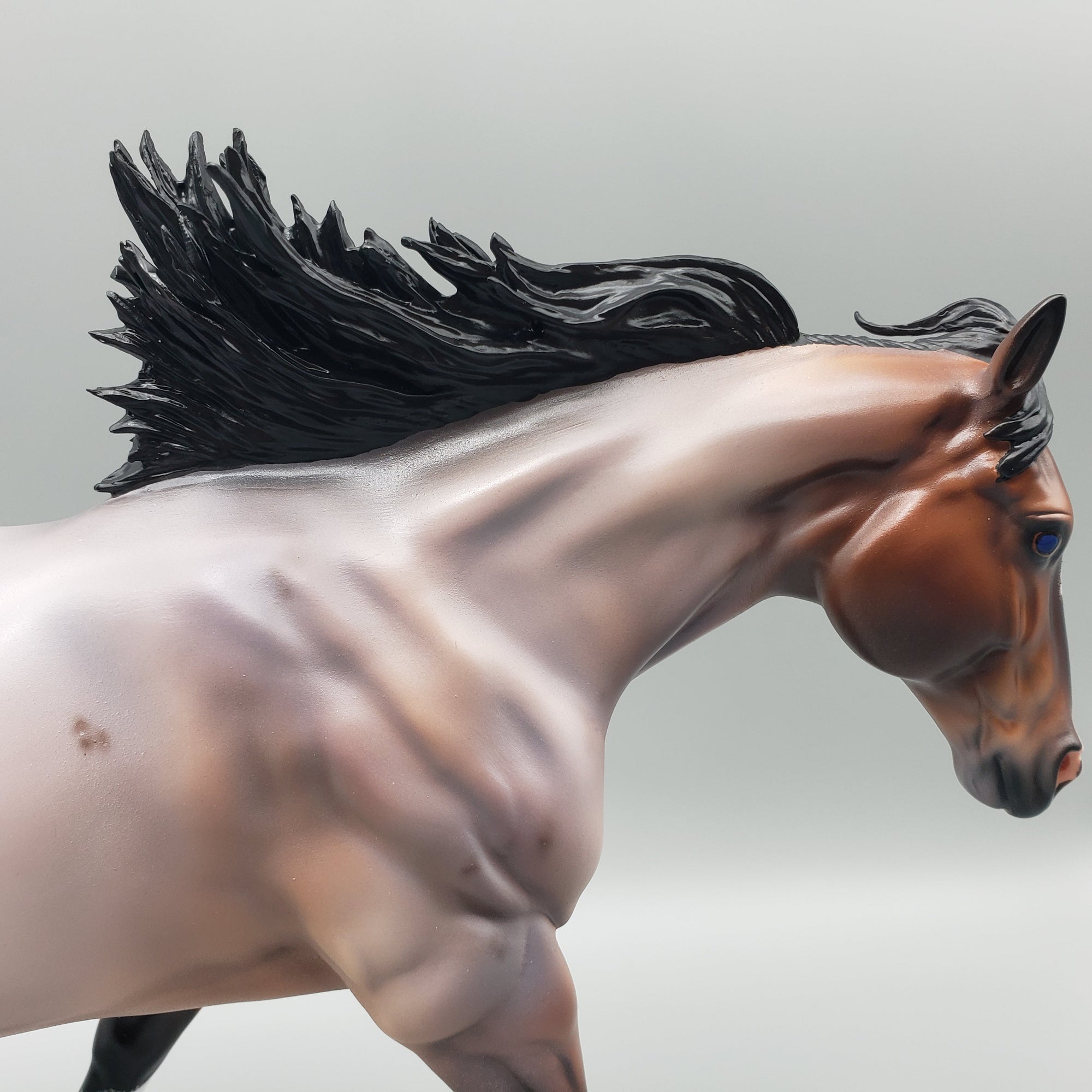 Cardon OOAK Bay Roan Running Stock Horse with Corn Spots By Caroline Boydston Best Offers 7/24/23