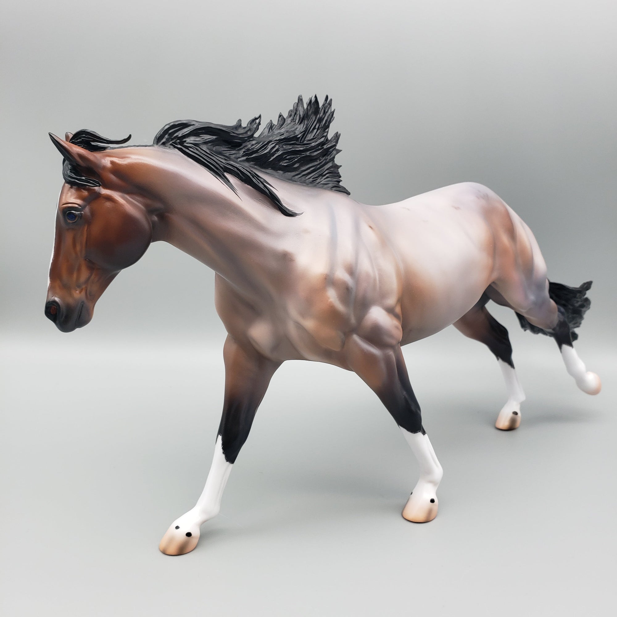 Cardon OOAK Bay Roan Running Stock Horse with Corn Spots By Caroline Boydston Best Offers 7/24/23