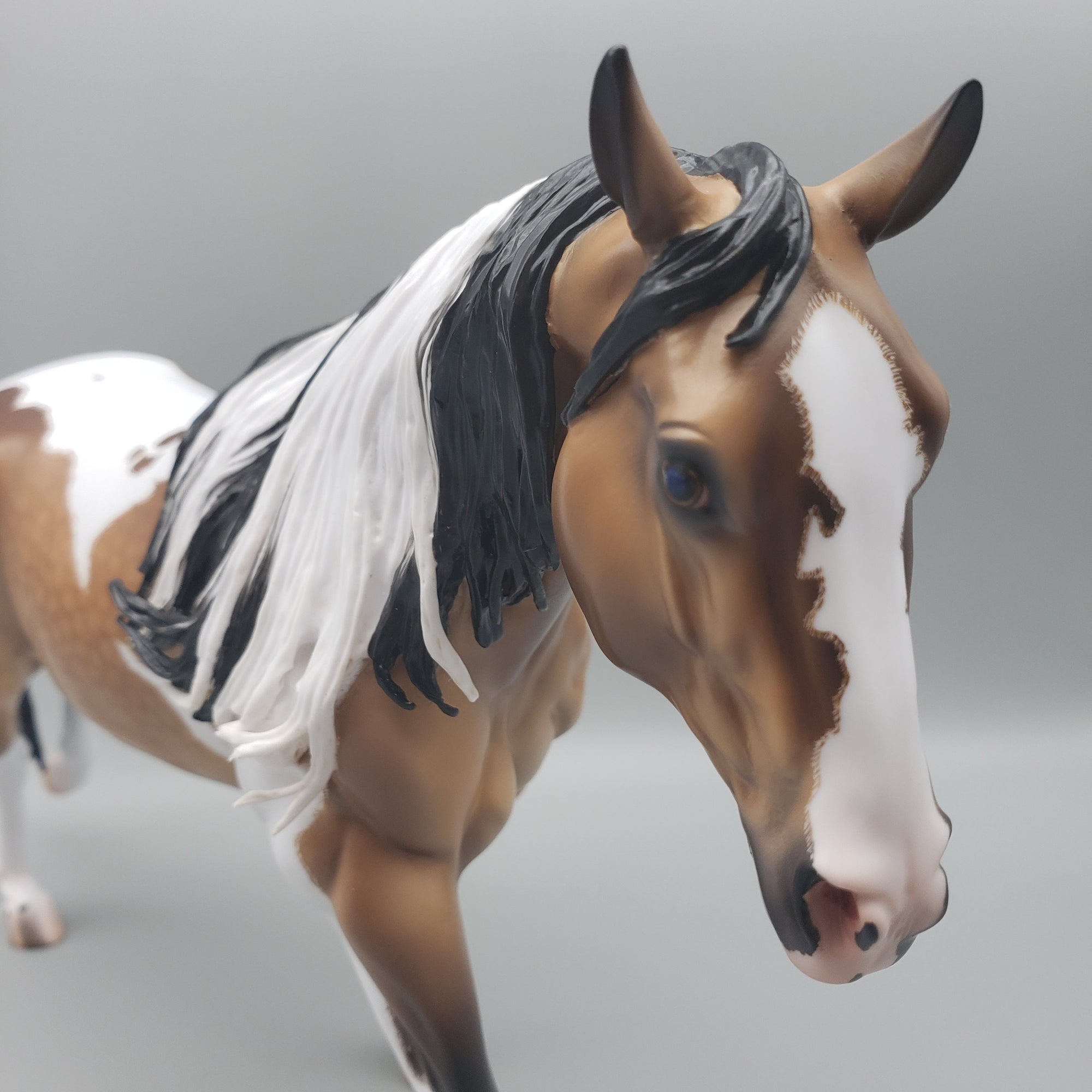 Gobi OOAK Dappled Buckskin Tobiano Running Stock Horse By Caroline Boydston Best Offers 7/31/23