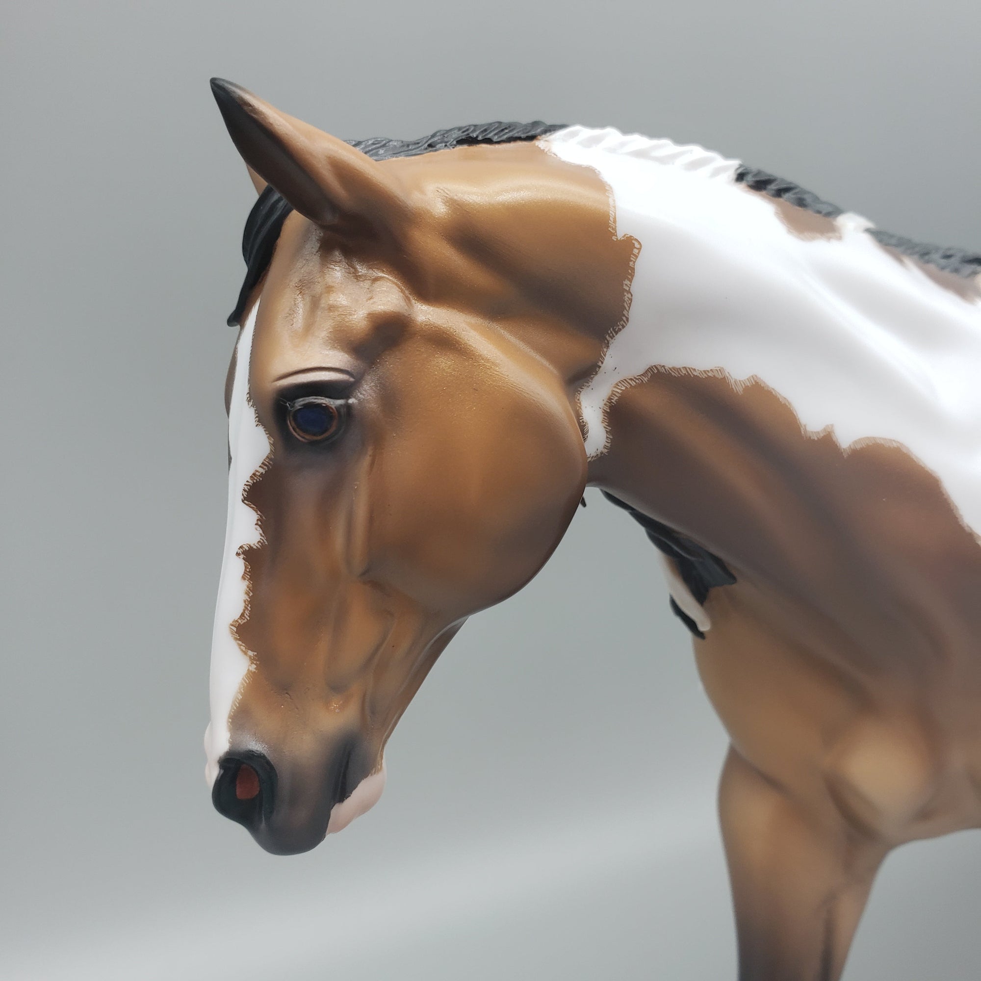 Gobi OOAK Dappled Buckskin Tobiano Running Stock Horse By Caroline Boydston Best Offers 7/31/23