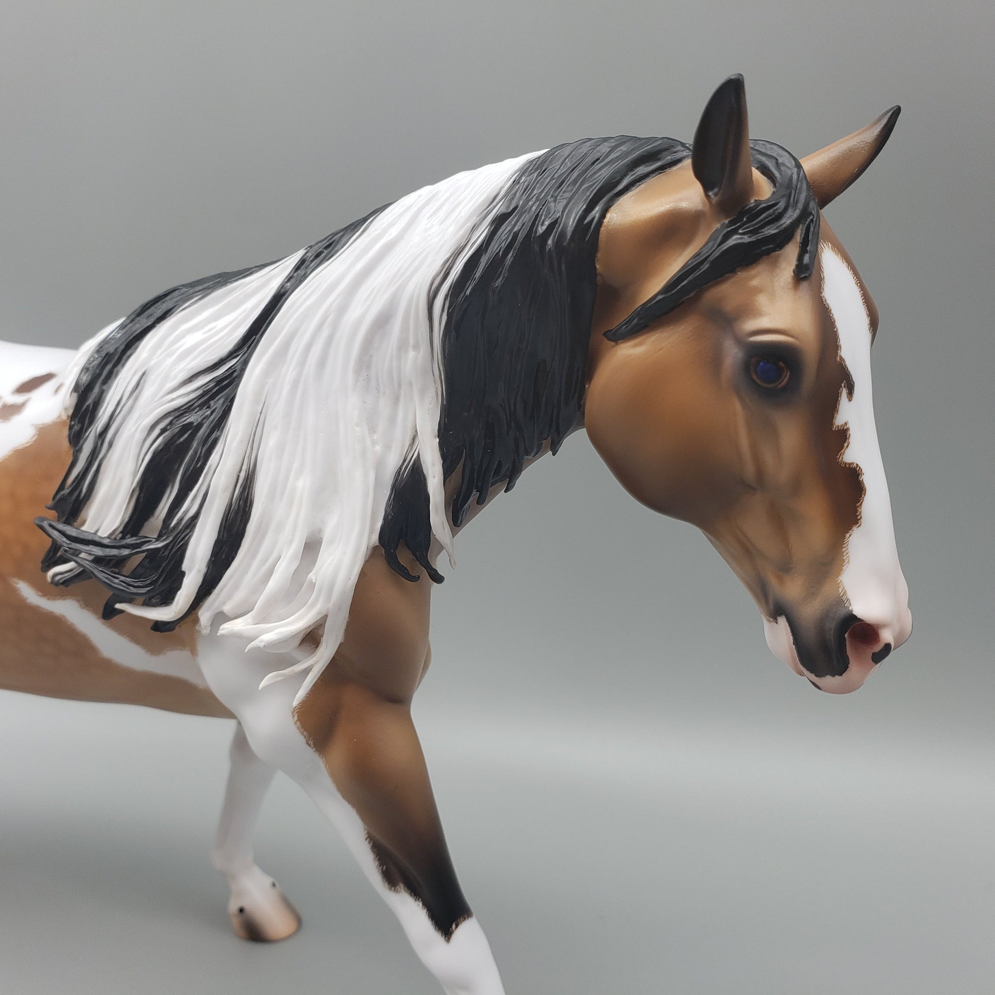 Gobi OOAK Dappled Buckskin Tobiano Running Stock Horse By Caroline Boydston Best Offers 7/31/23