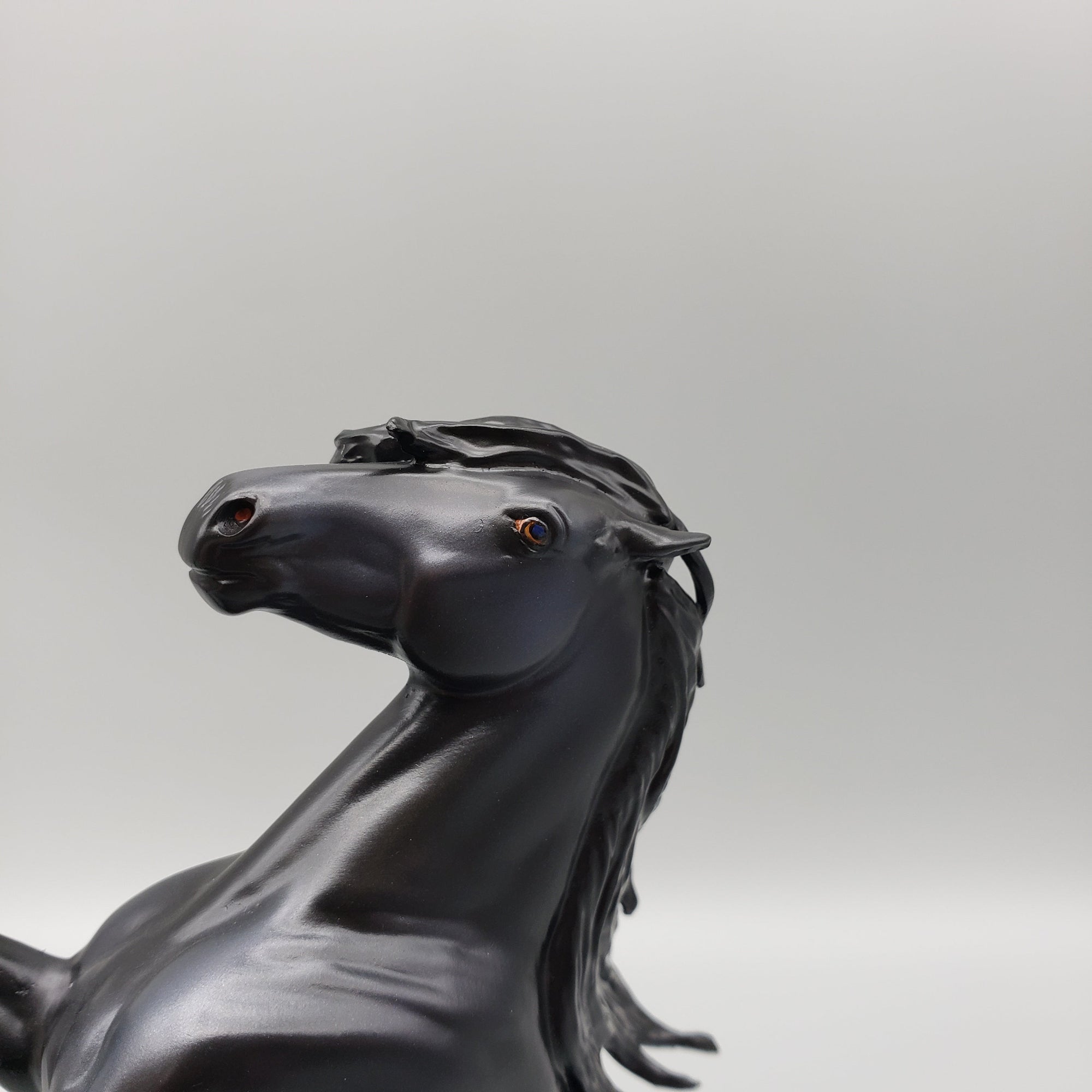 Vibernum OOAK Custom Rearing Pebble Mustang Turned Friesian By Caroline Boydston Best Offers 8/14/23