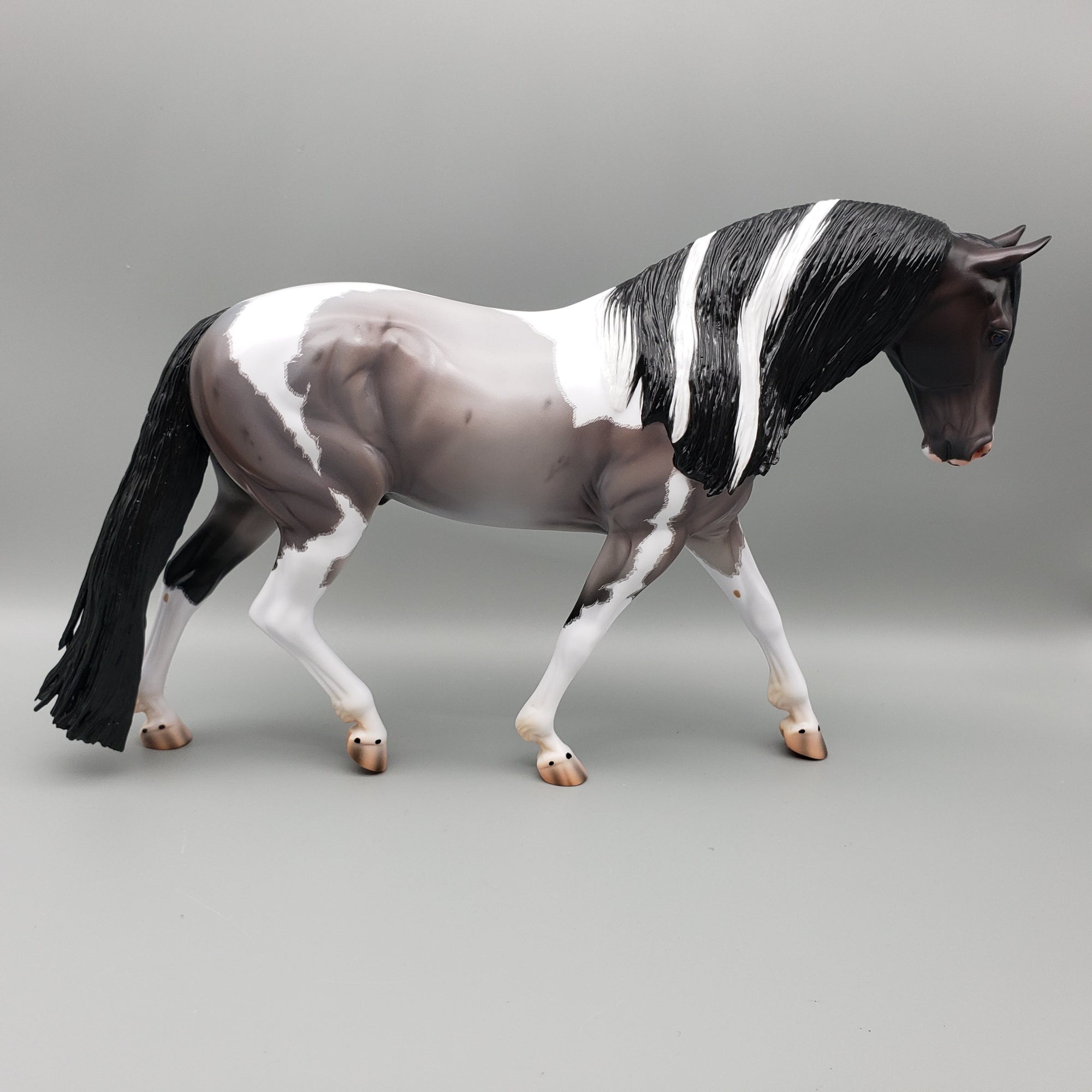 Ginko Blue Roan Tobiano Irish Draft By Caroline Boydston Best Offers 8/14/23