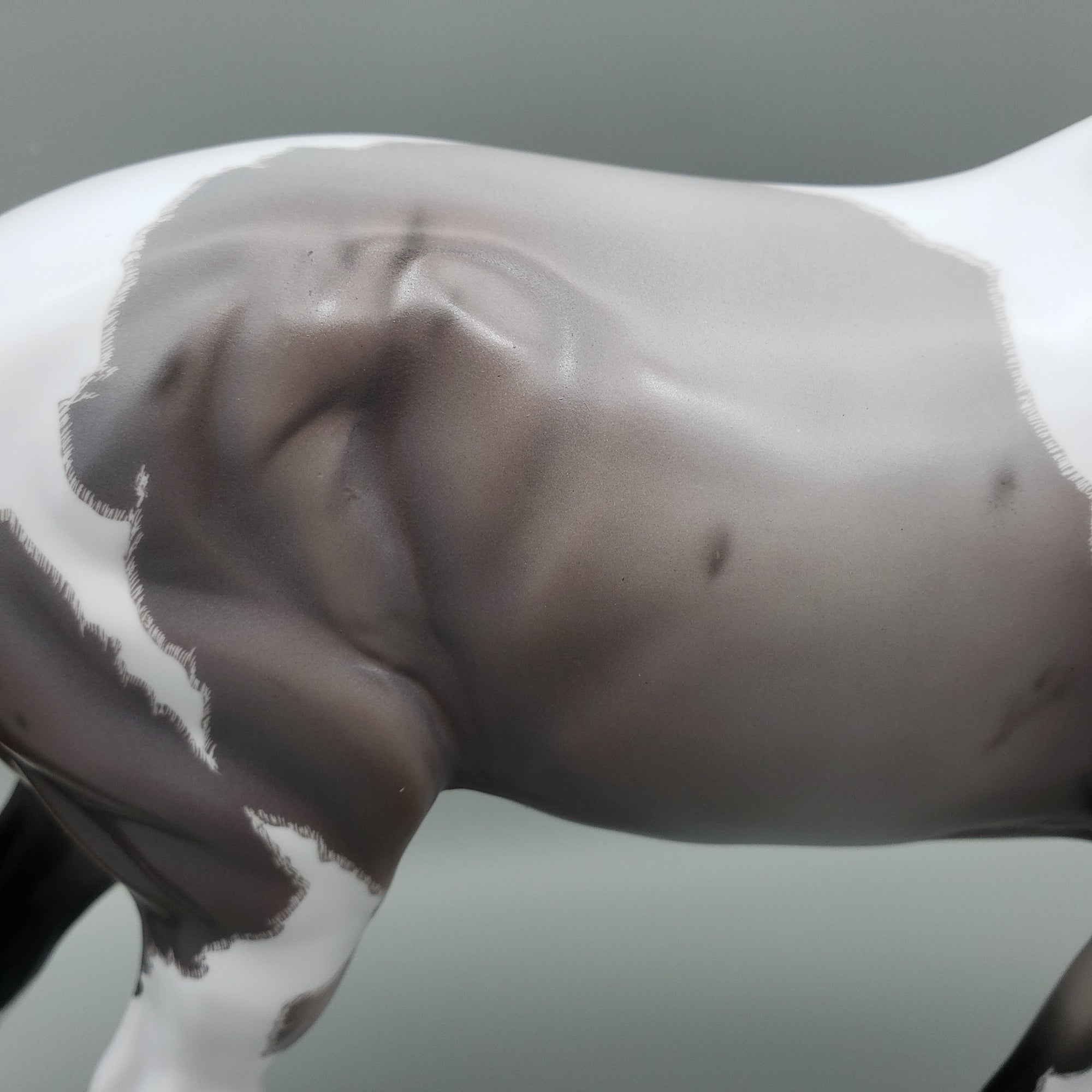 Ginko Blue Roan Tobiano Irish Draft By Caroline Boydston Best Offers 8/14/23