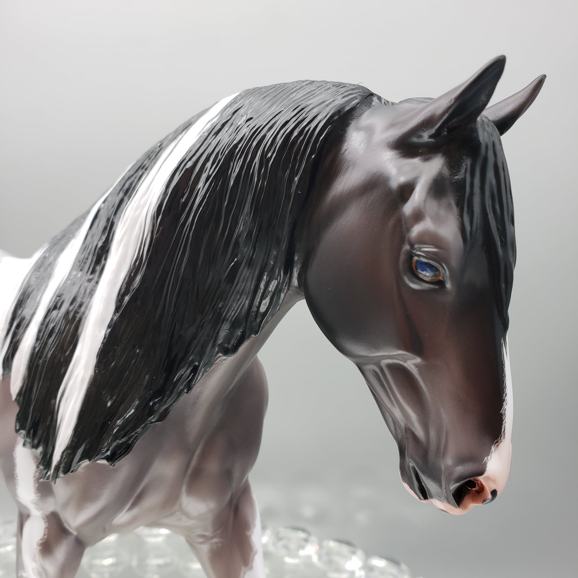 Ginko Blue Roan Tobiano Irish Draft By Caroline Boydston Best Offers 8/14/23