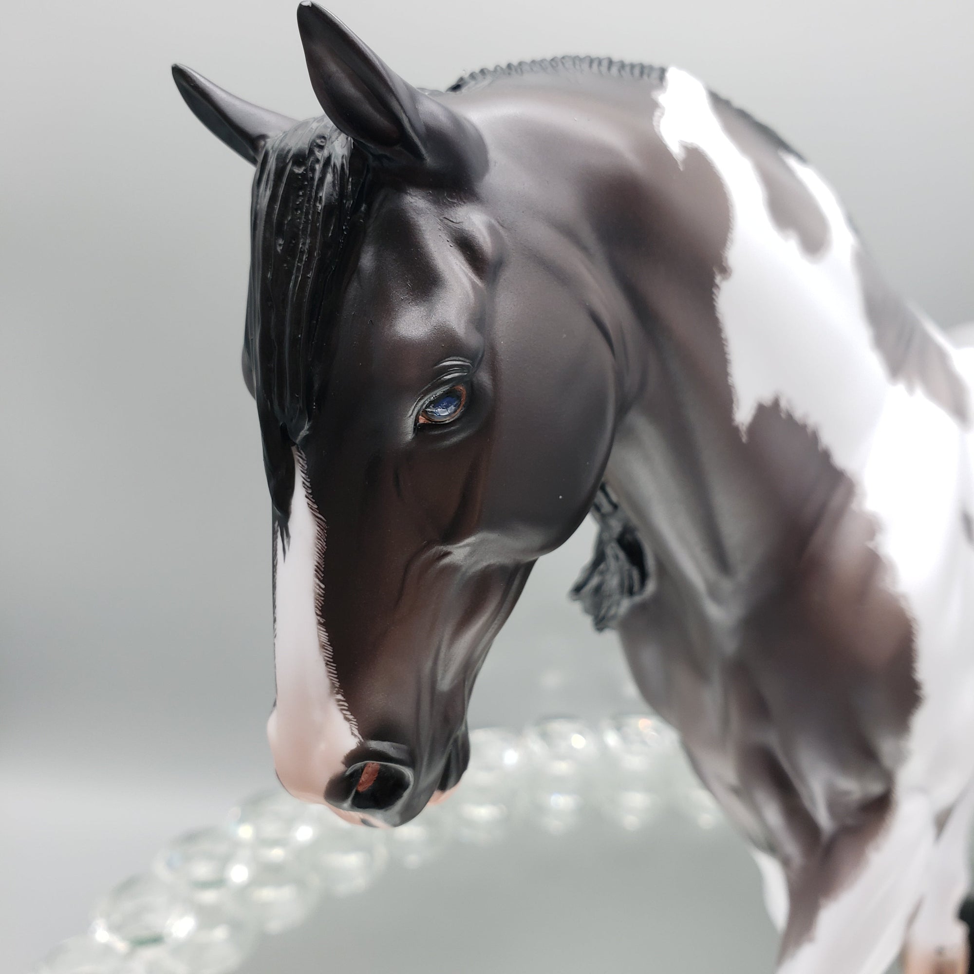 Ginko Blue Roan Tobiano Irish Draft By Caroline Boydston Best Offers 8/14/23