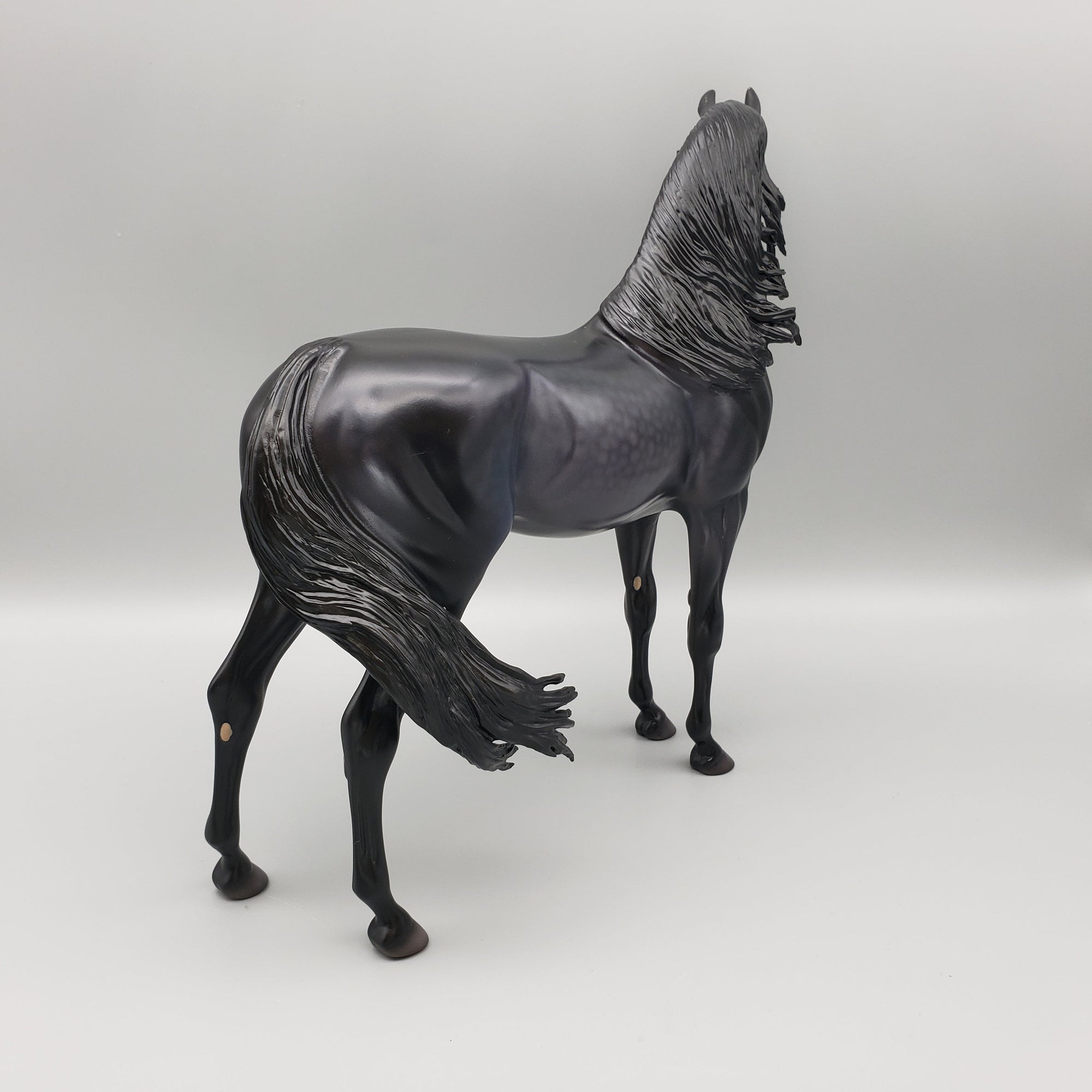 Botswallia OOAK Dapple Black Custom Arabian By Caroline Boydston Best Offers 8/14/23