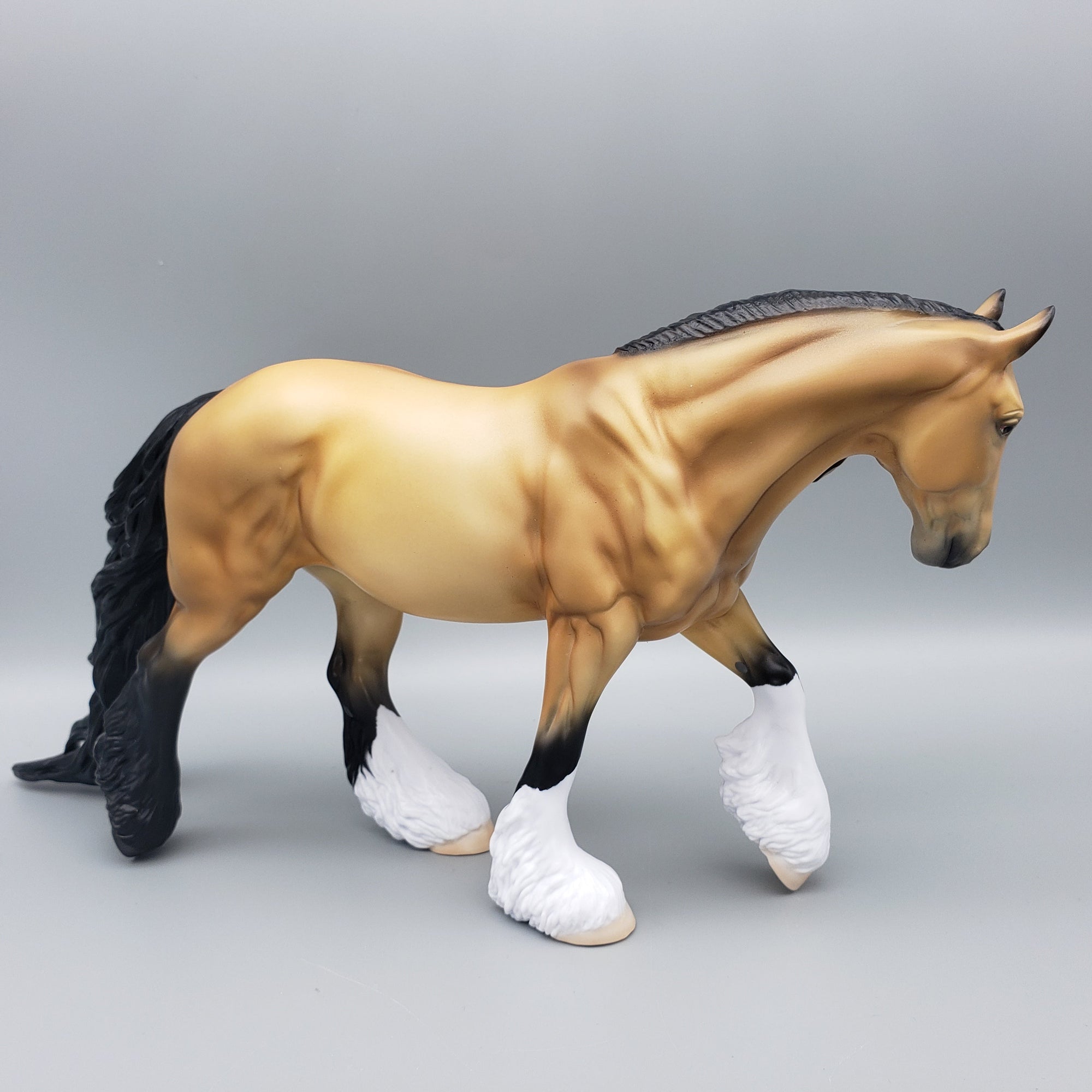 Francheska LE20 Buckskin Cob By Ellen Robbins AoTH23