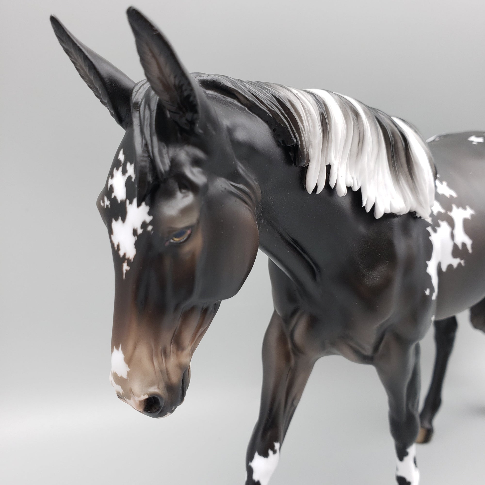 Diadem OOAK Black Appaloosa Mule by Jess Hamill AoTH23 Best Offers