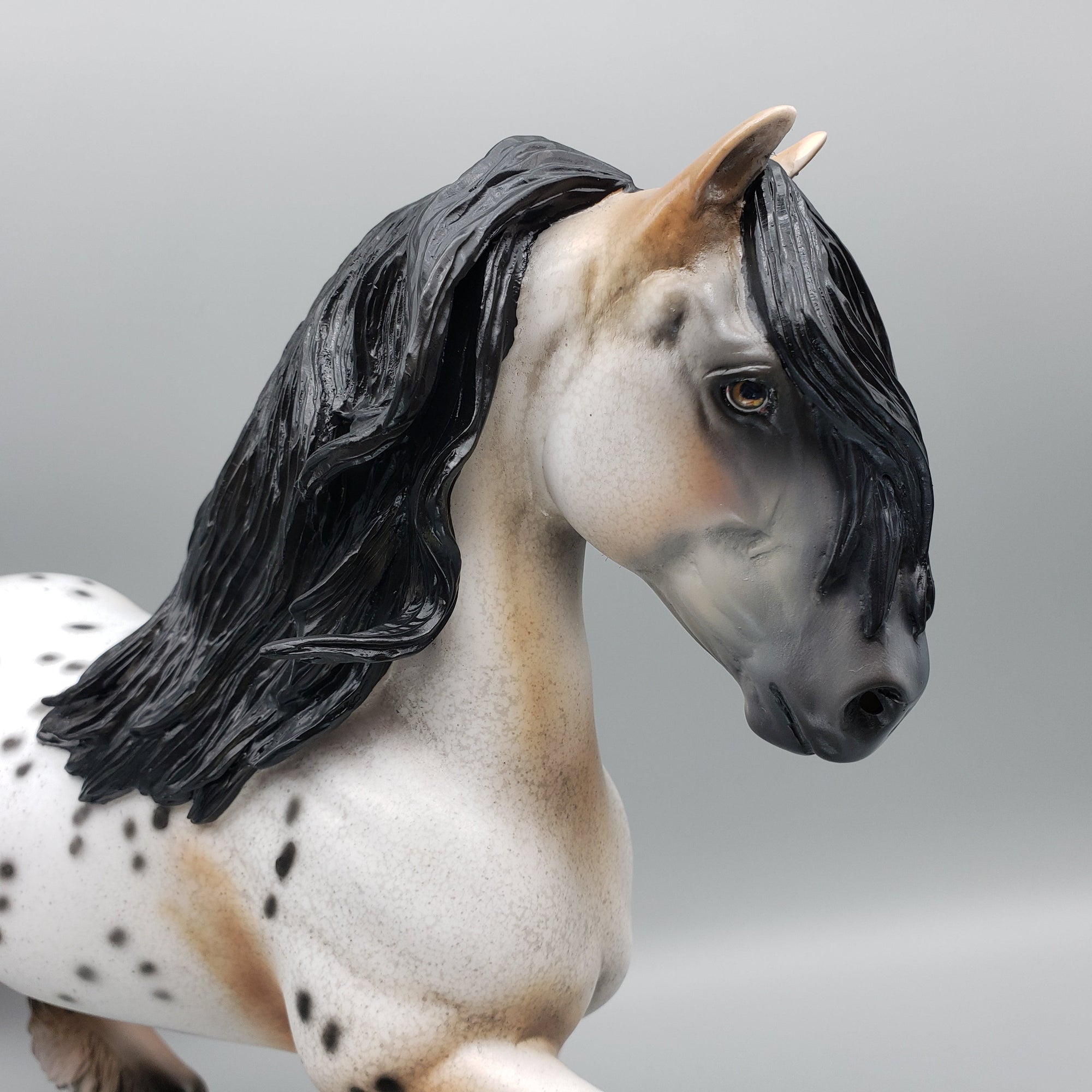 Dancer OOAK Buckskin Appaloosa Trotting Drafter By Dawn Quick for AoTH23 Best Offers