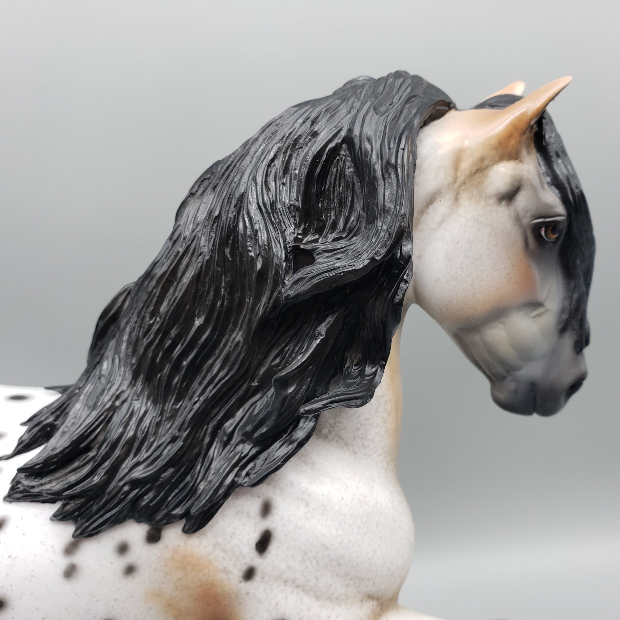 Dancer OOAK Buckskin Appaloosa Trotting Drafter By Dawn Quick for AoTH23 Best Offers