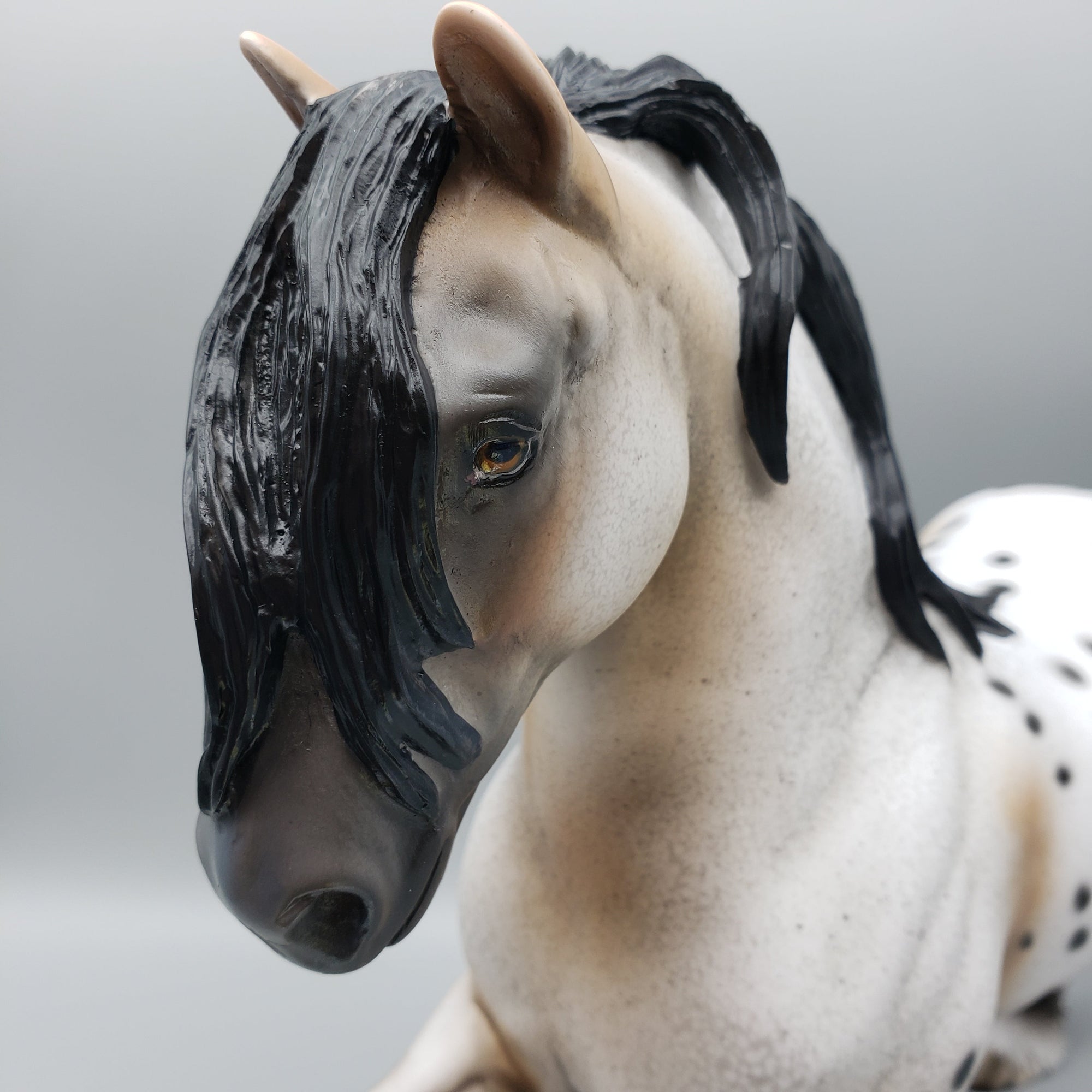 Dancer OOAK Buckskin Appaloosa Trotting Drafter By Dawn Quick for AoTH23 Best Offers