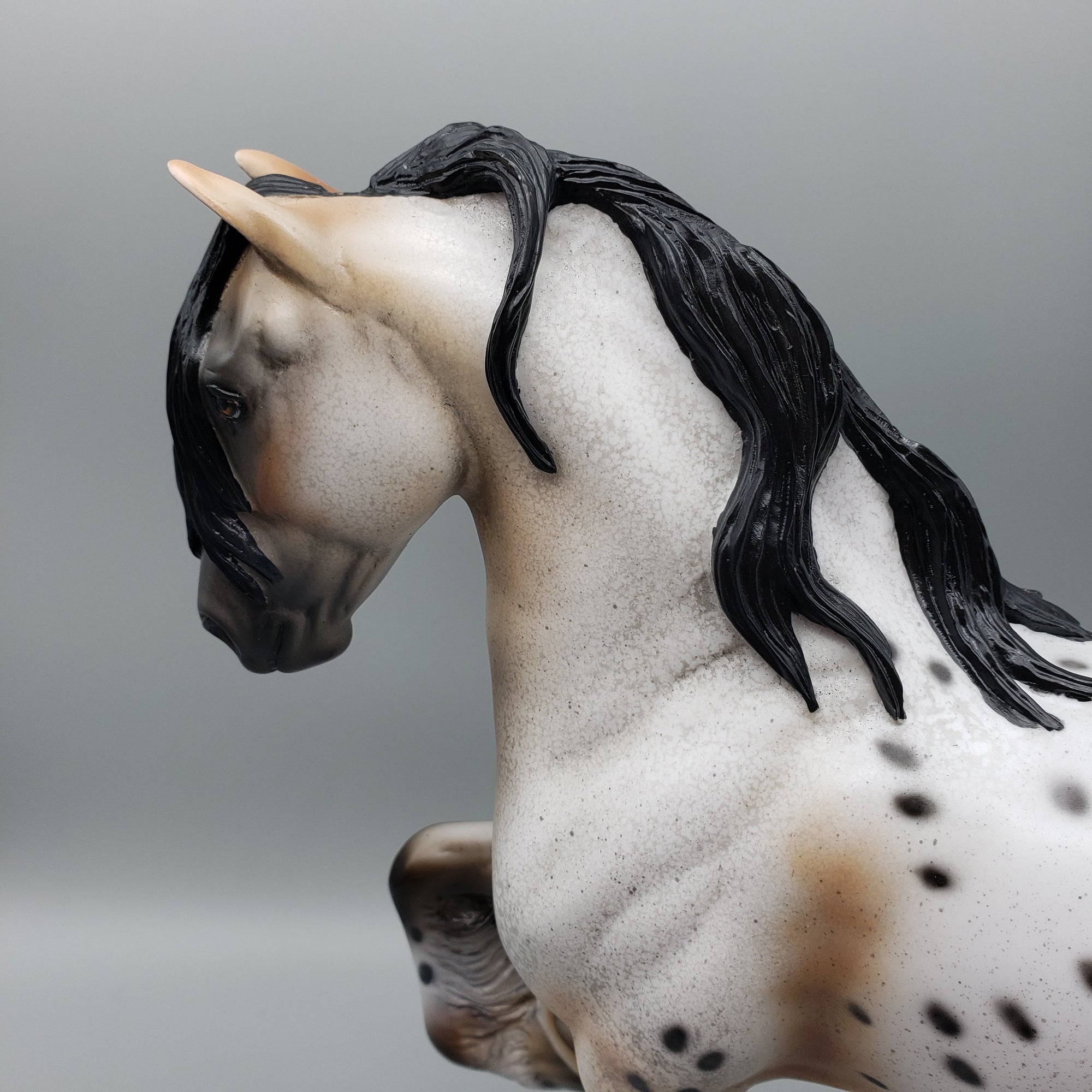 Dancer OOAK Buckskin Appaloosa Trotting Drafter By Dawn Quick for AoTH23 Best Offers