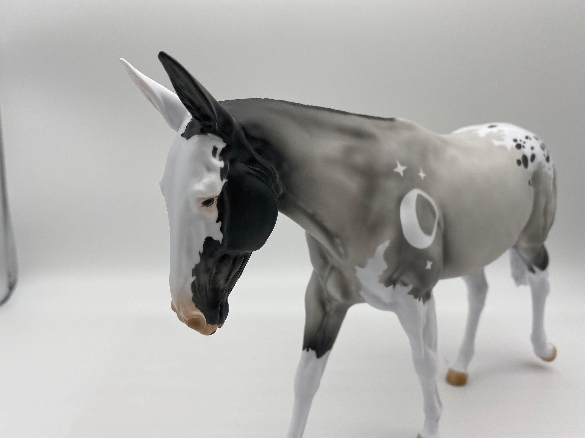 LOYALTY MEMEBERS !!!!!!!!! ONLY!!!!!!!!!!!! RELEASE - ECLIPSE MULE BLACK FRIDAY 2021