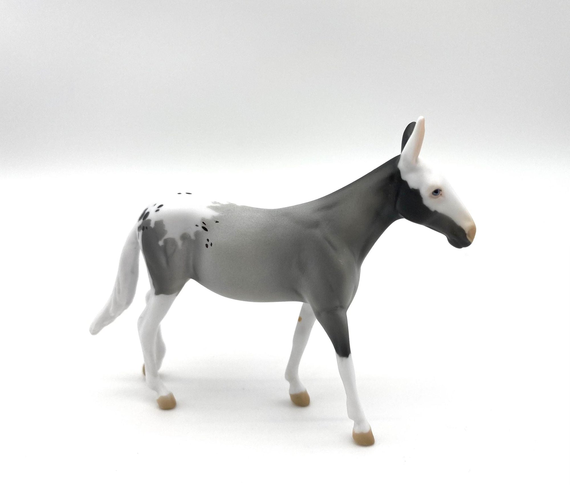 MINI ME LOYALTY MEMEBERS RELEASE - ECLIPSE MULE BLACK FRIDAY 2021