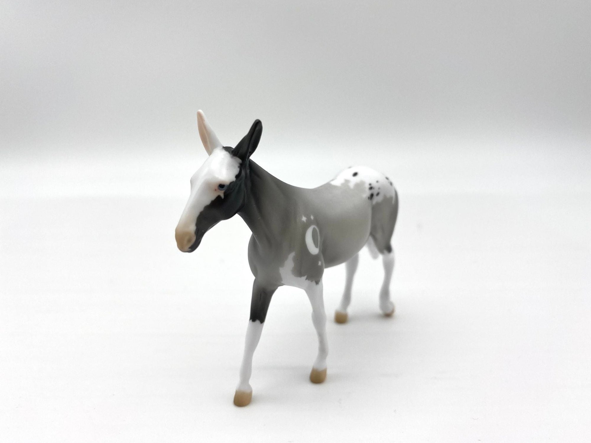 MINI ME LOYALTY MEMEBERS RELEASE - ECLIPSE MULE BLACK FRIDAY 2021