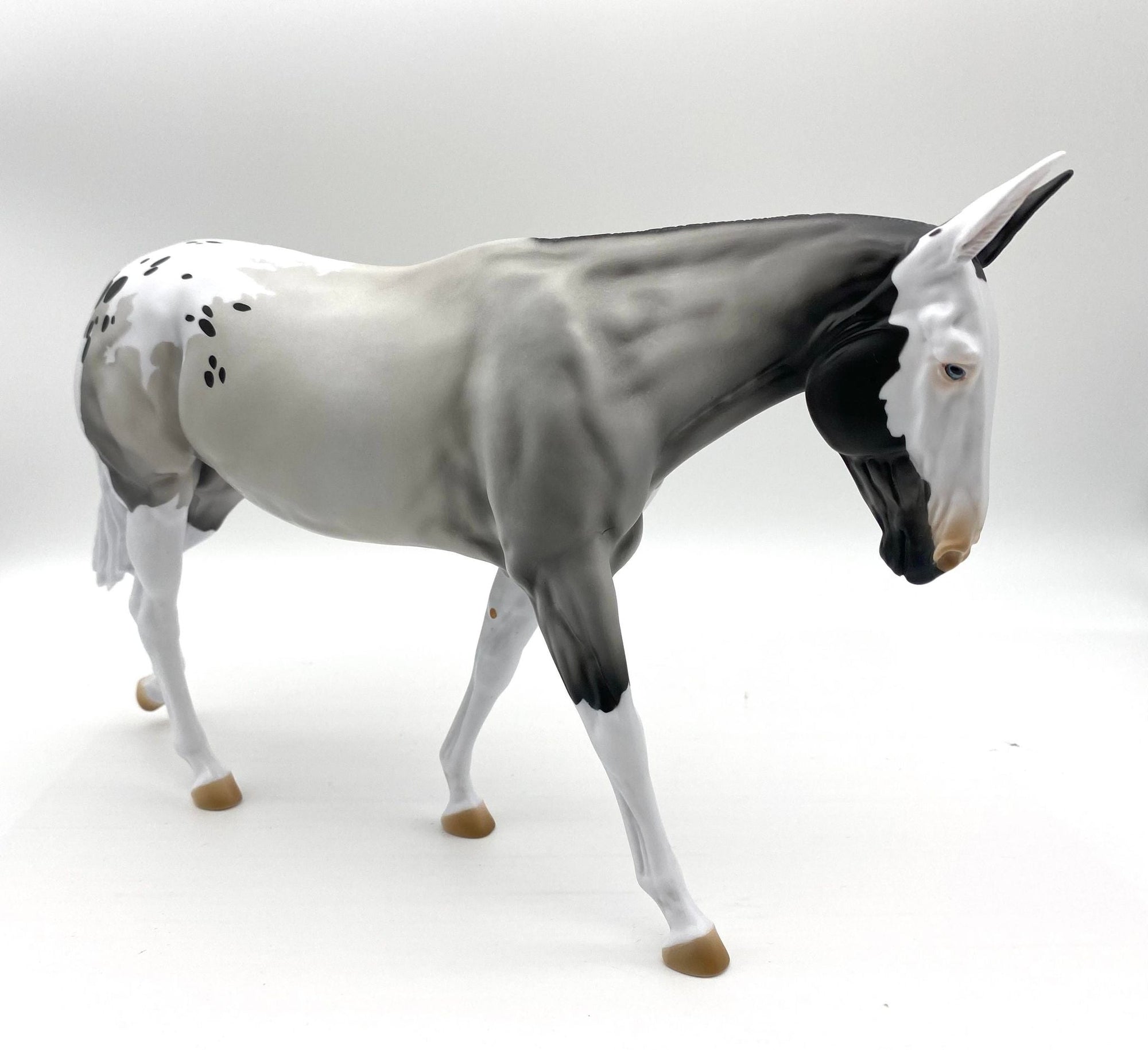 LOYALTY MEMEBERS !!!!!!!!! ONLY!!!!!!!!!!!! RELEASE - ECLIPSE MULE BLACK FRIDAY 2021